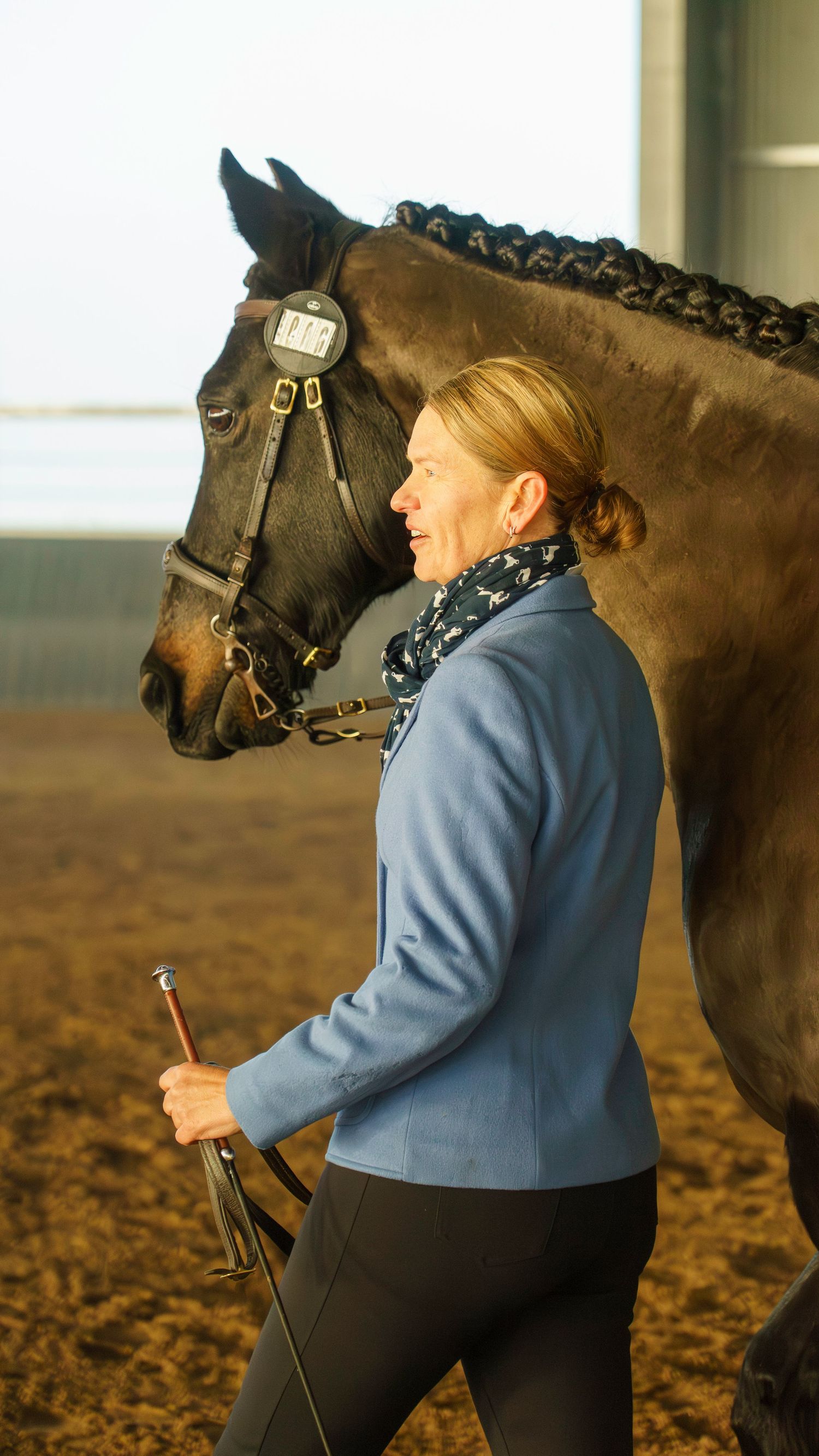 A horse with braided mane stands with its handler during an indoor training session.