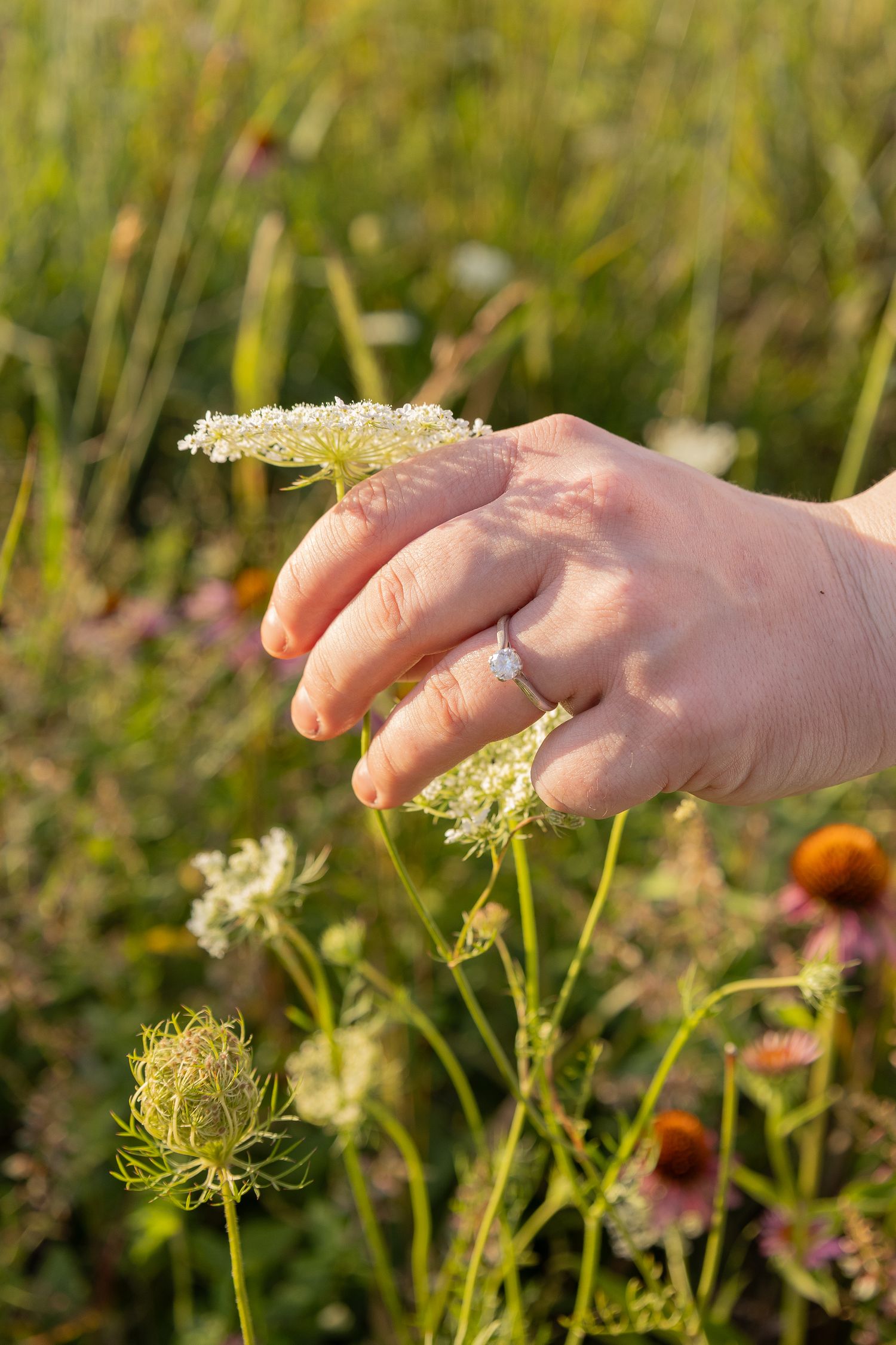 Engagement session at Ballas Park in Wind Gap, PA