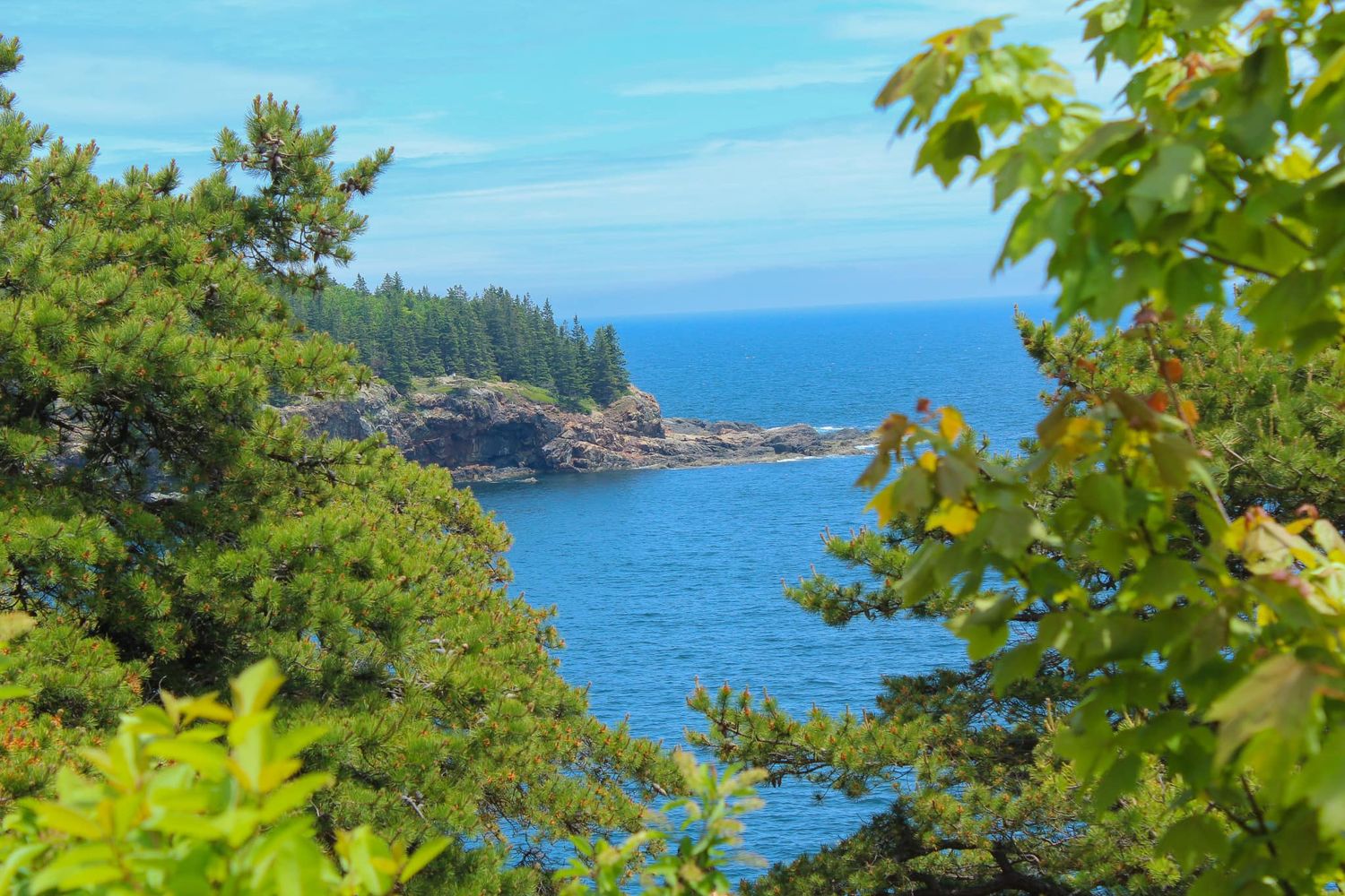 Acadia National Park