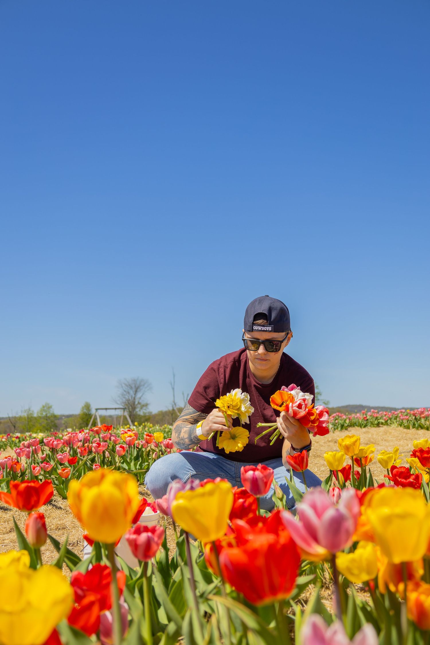 Brown Hill Farms tulip picking.