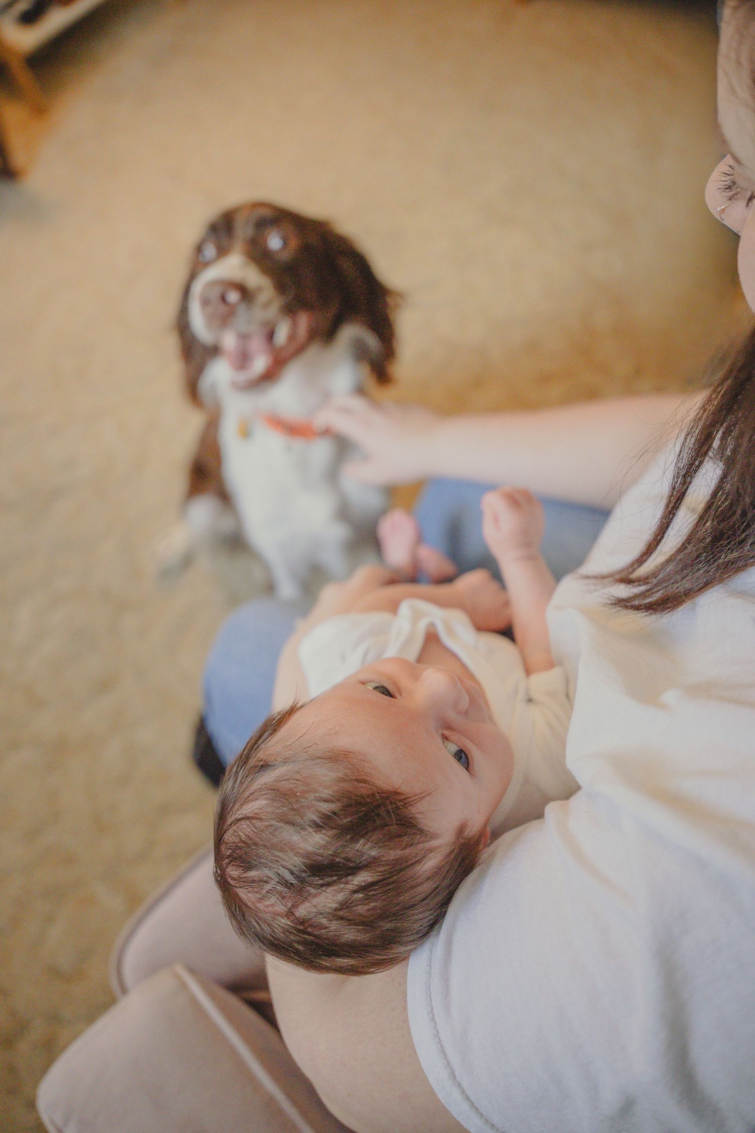 Family lifestyle session in-home featuring parents with newborn baby and family dog.