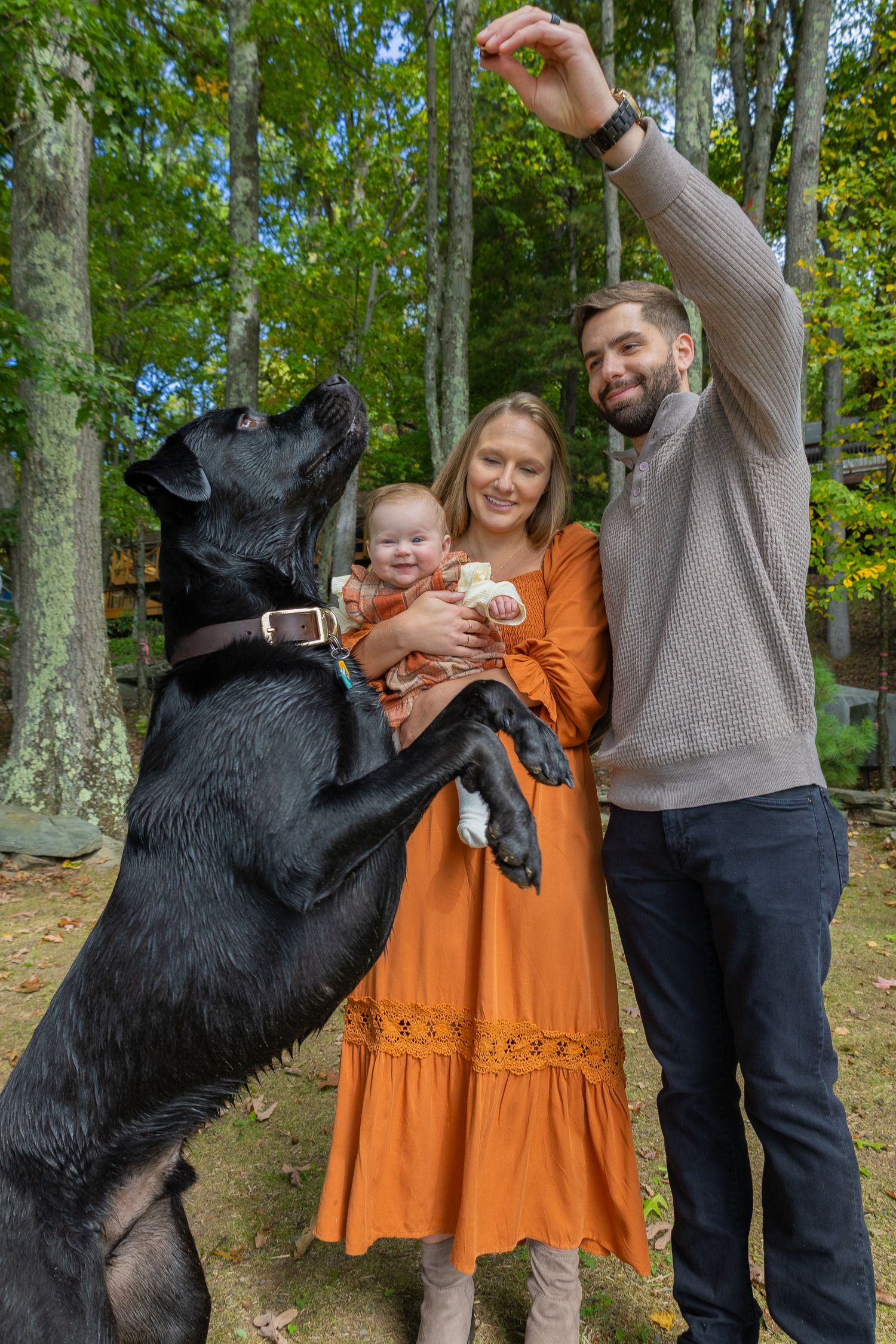 Family with baby and black Labrador dog jumping up outdoors in autumn forest setting.