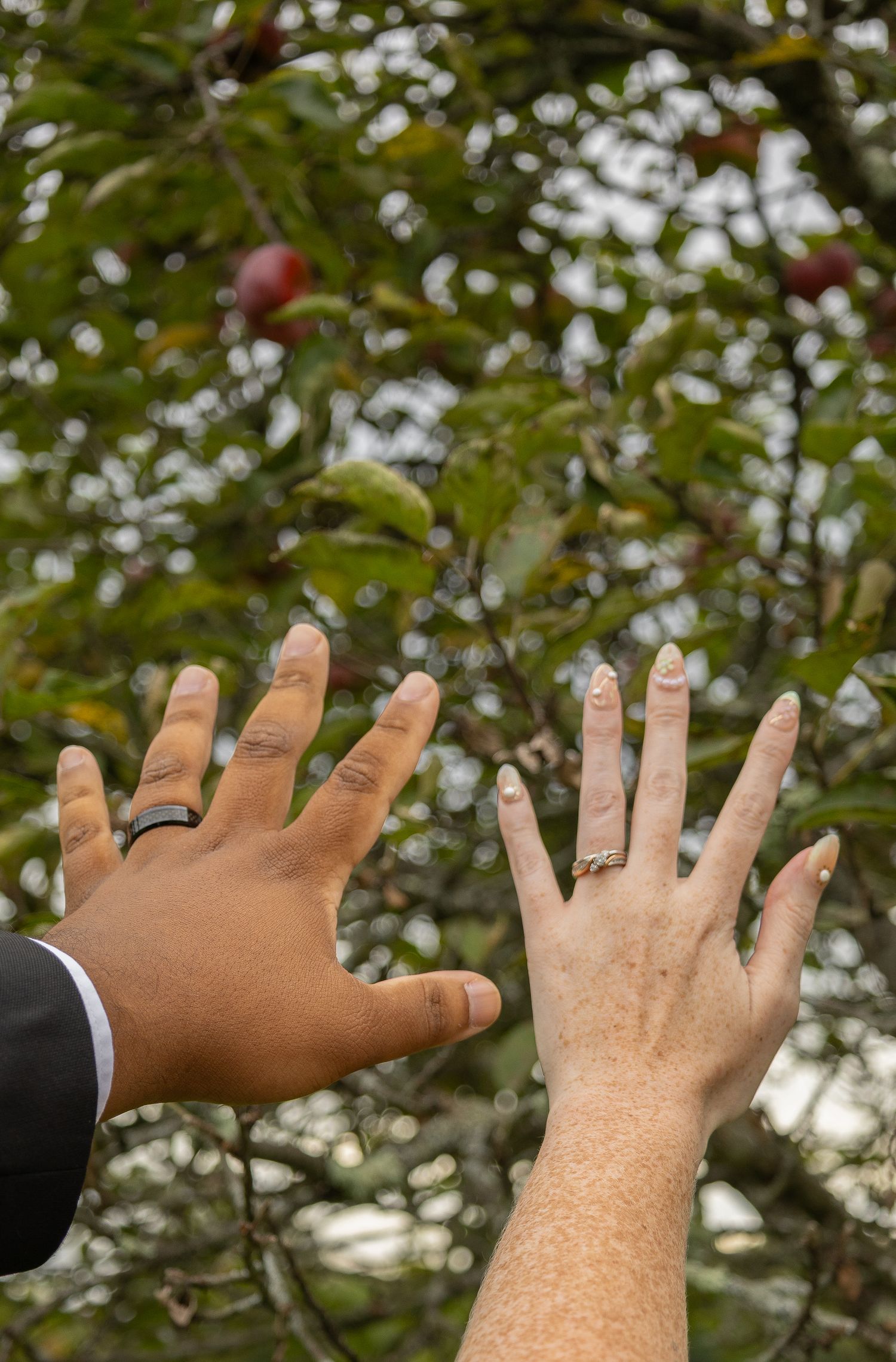 Two hands with wedding rings raised against a blurred apple tree background, symbolizing marriage and unity.