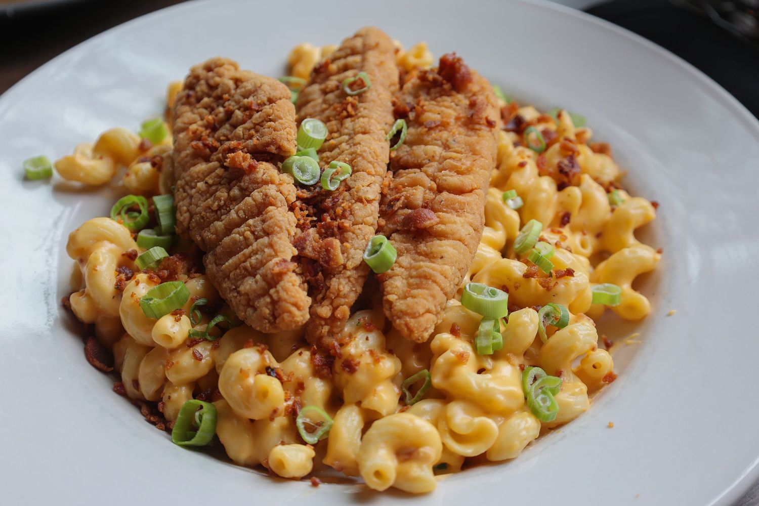 Food photography