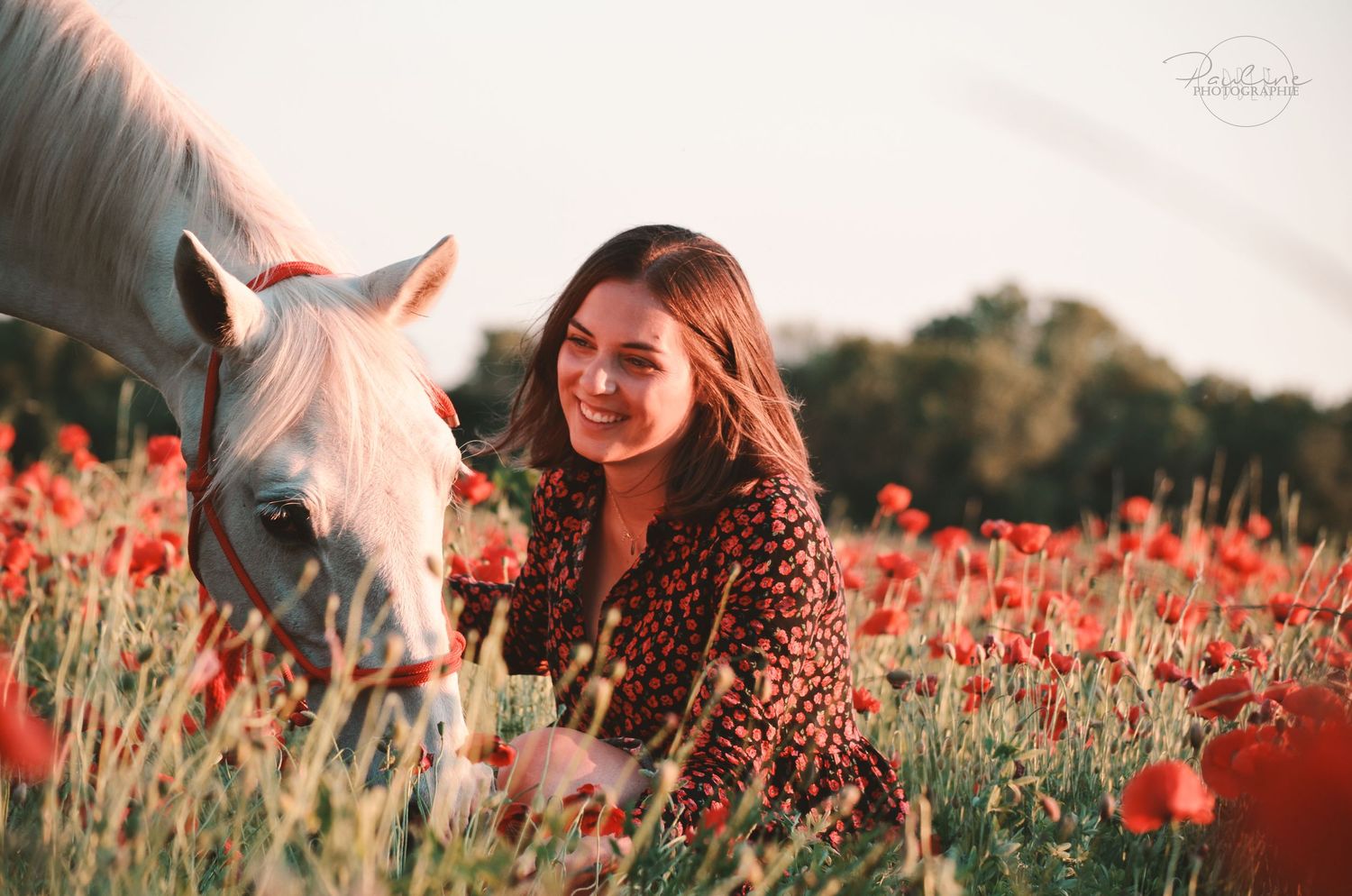 A smiling woman sits beside a white horse in a vibrant red poppy field.