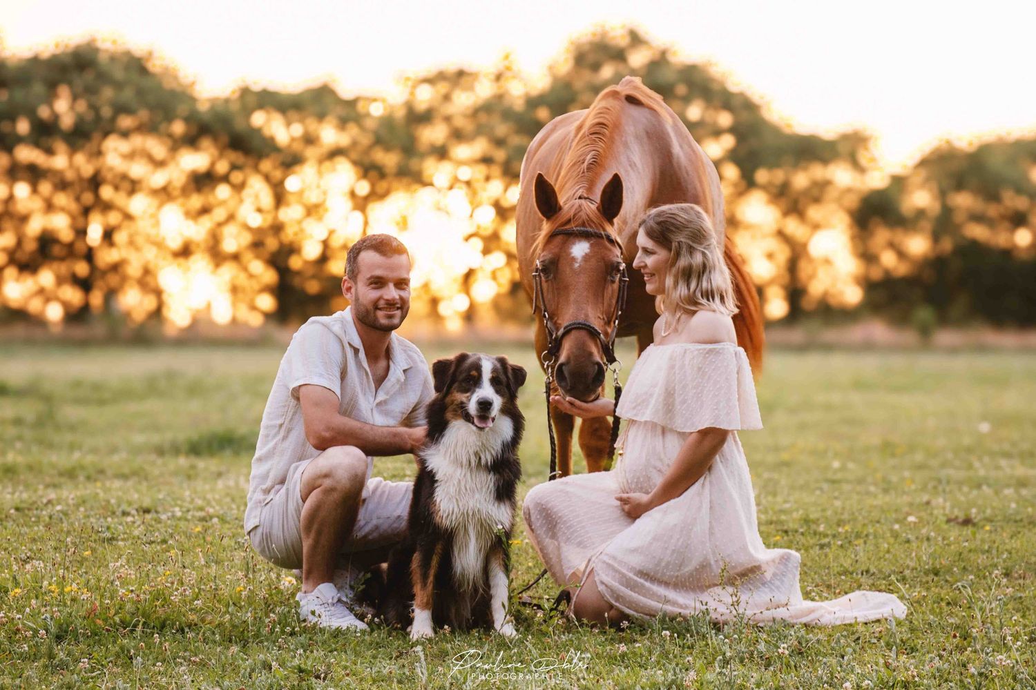 Couple posing with a border collie and chestnut horse at golden sunset in a green field.