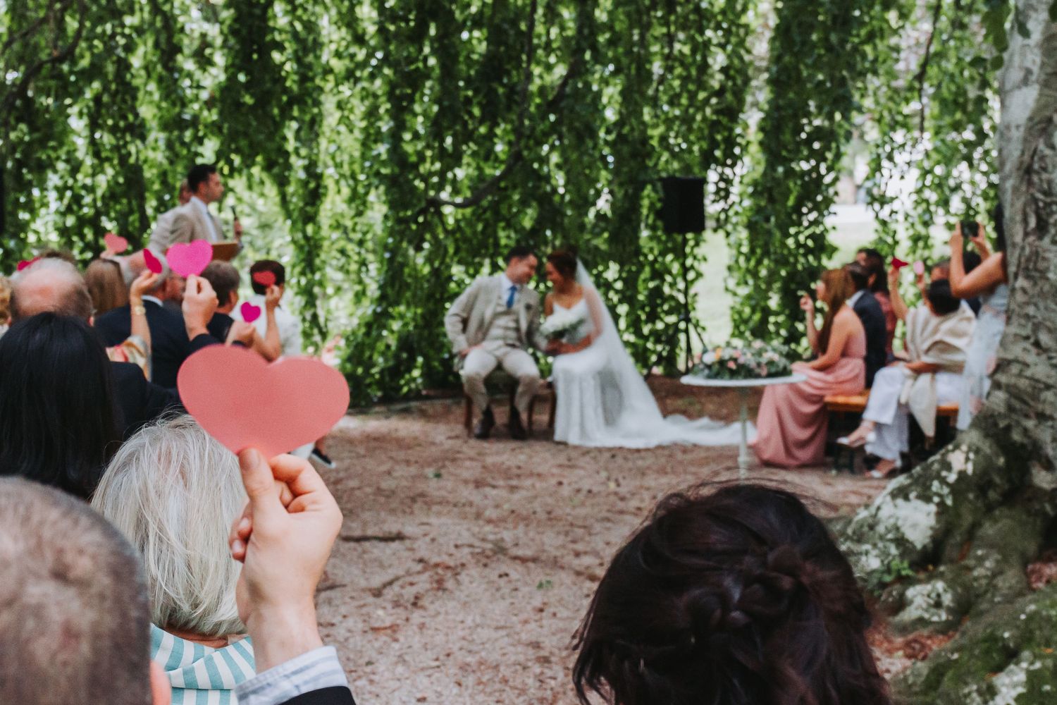 Wedding guests holding pink heart fans watching couple kiss under weeping willow tree ceremony.