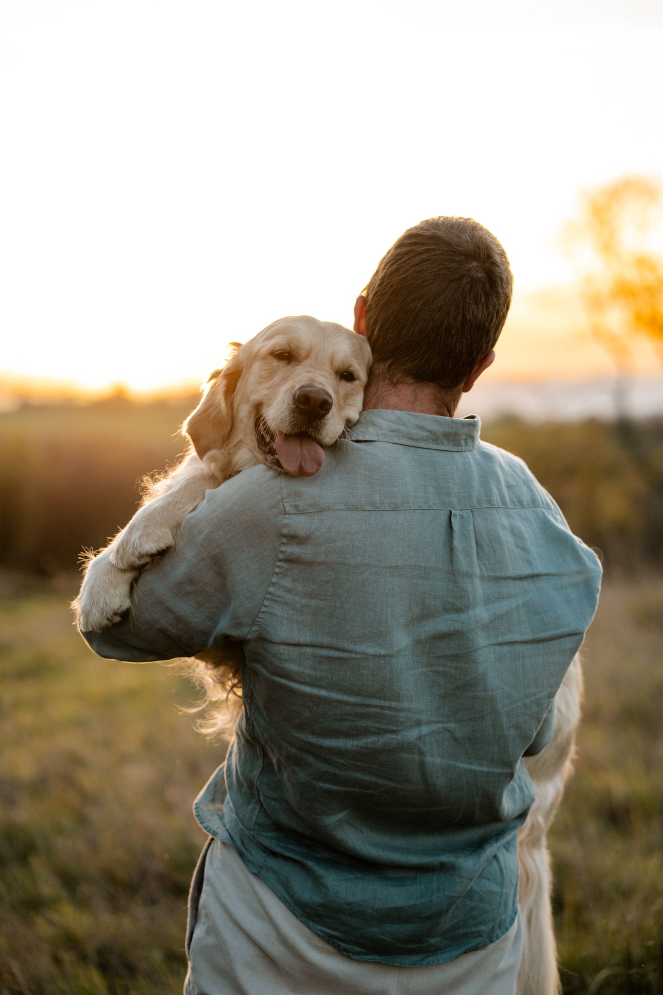Man holding golden retriever dog over shoulder in a sunlit field at sunset.
