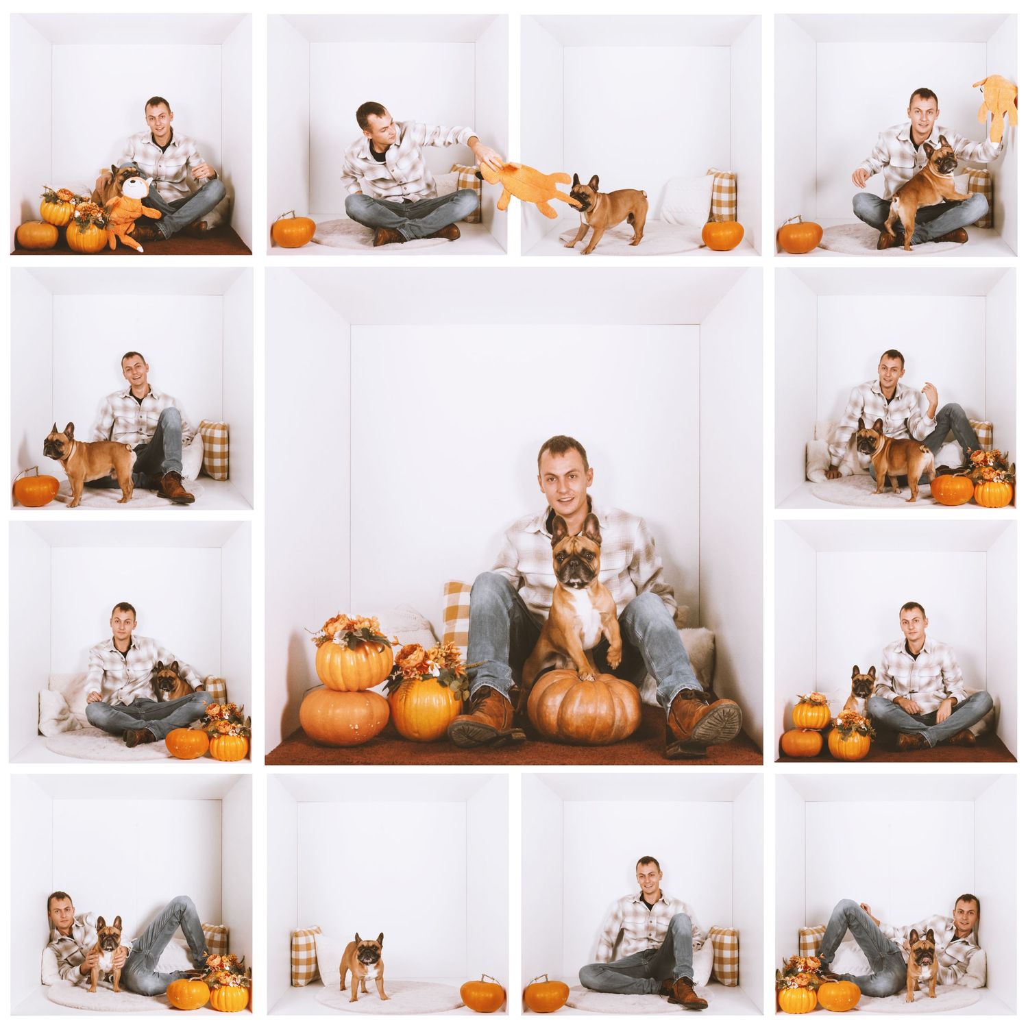 Man with dogs and pumpkins in white studio fall-themed photo collage.