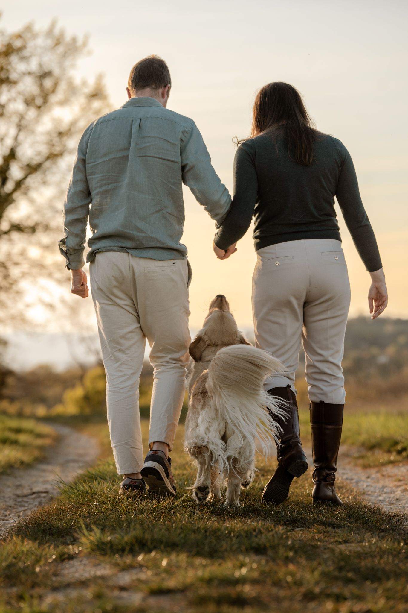 Rear view of couple holding hands walking with golden retriever dog at sunset.