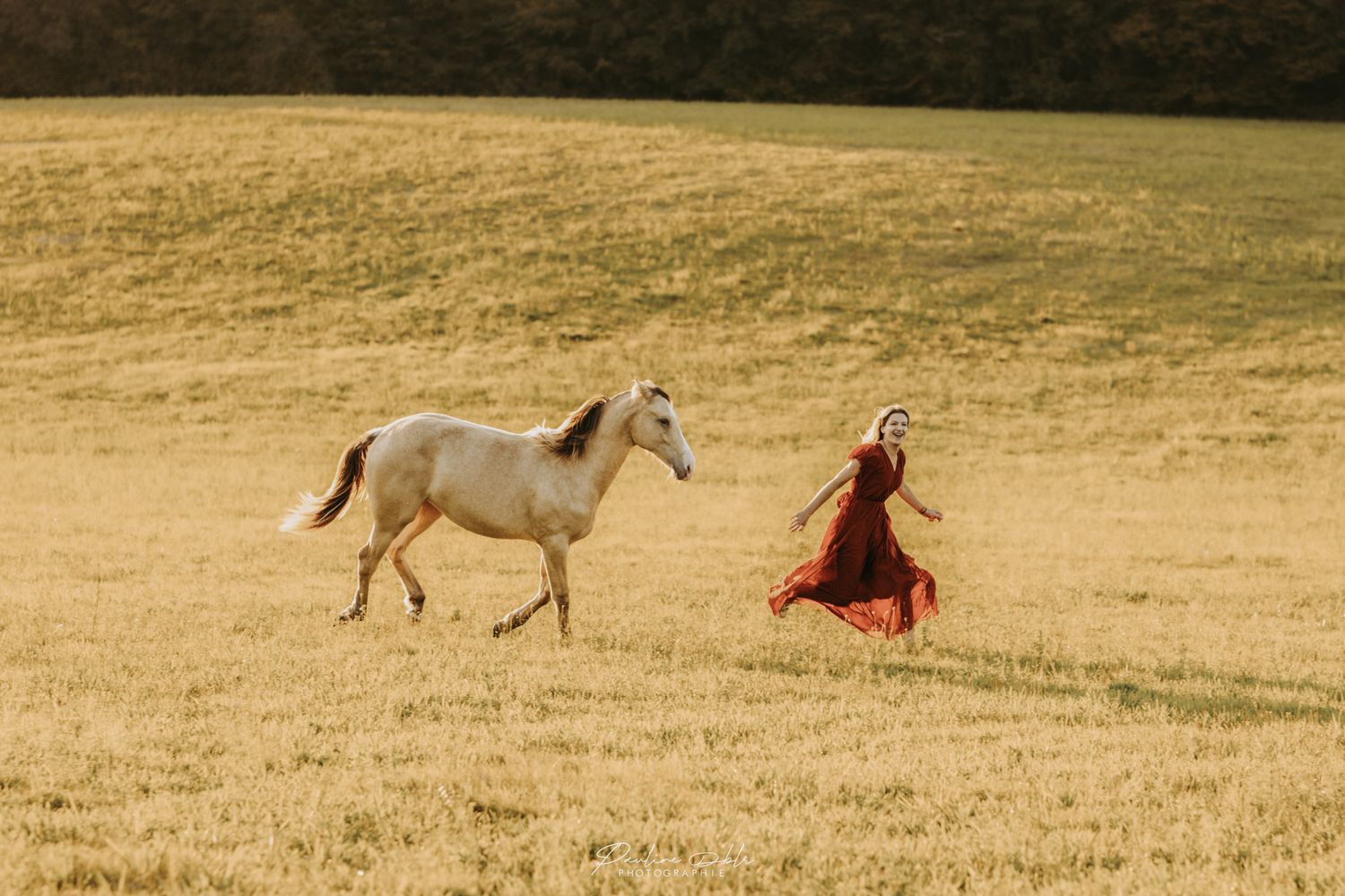 Woman in red dress running alongside a white horse across a vast golden sunlit field.
