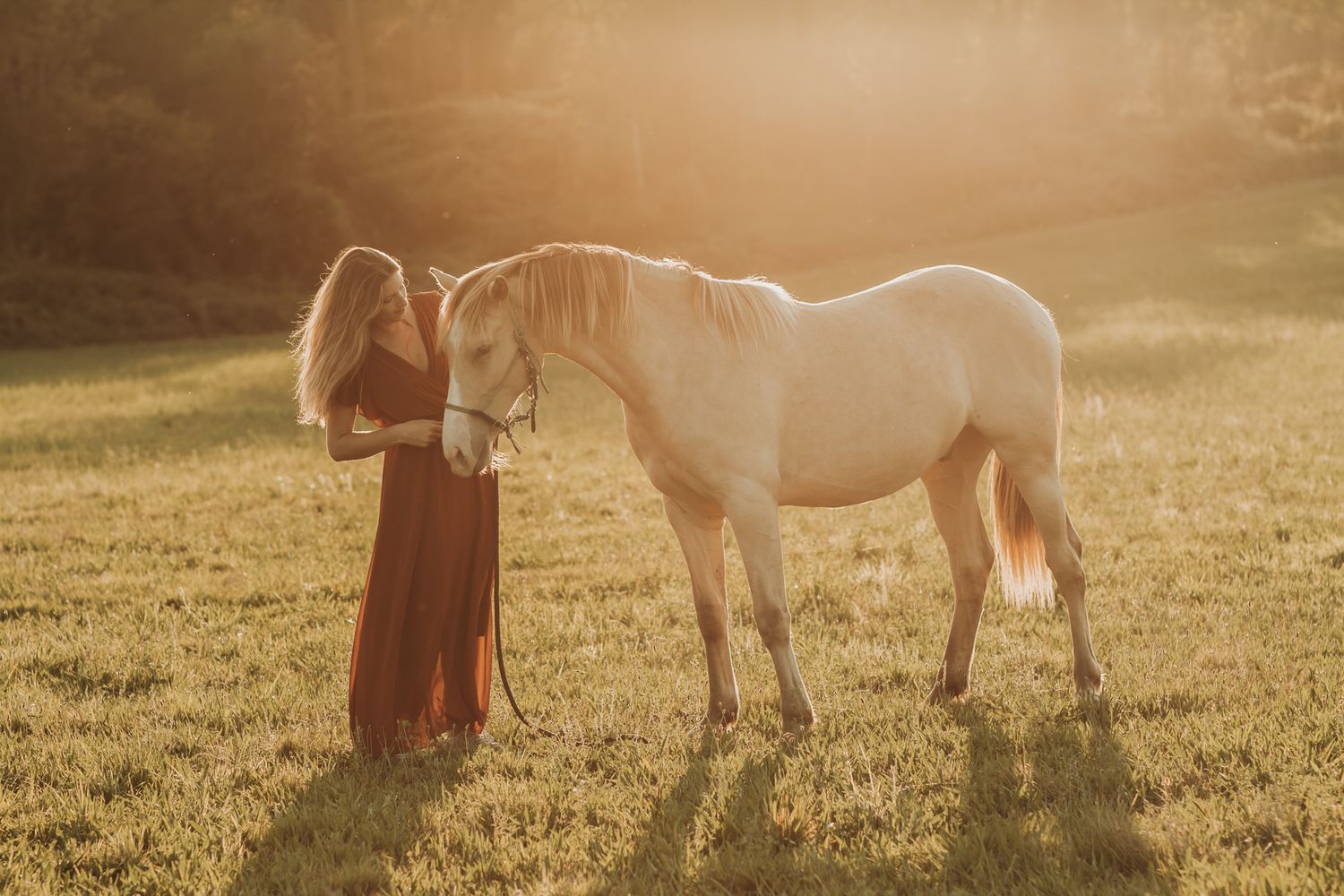 Woman in flowing red dress standing beside a palomino horse in a glowing golden sunset field.