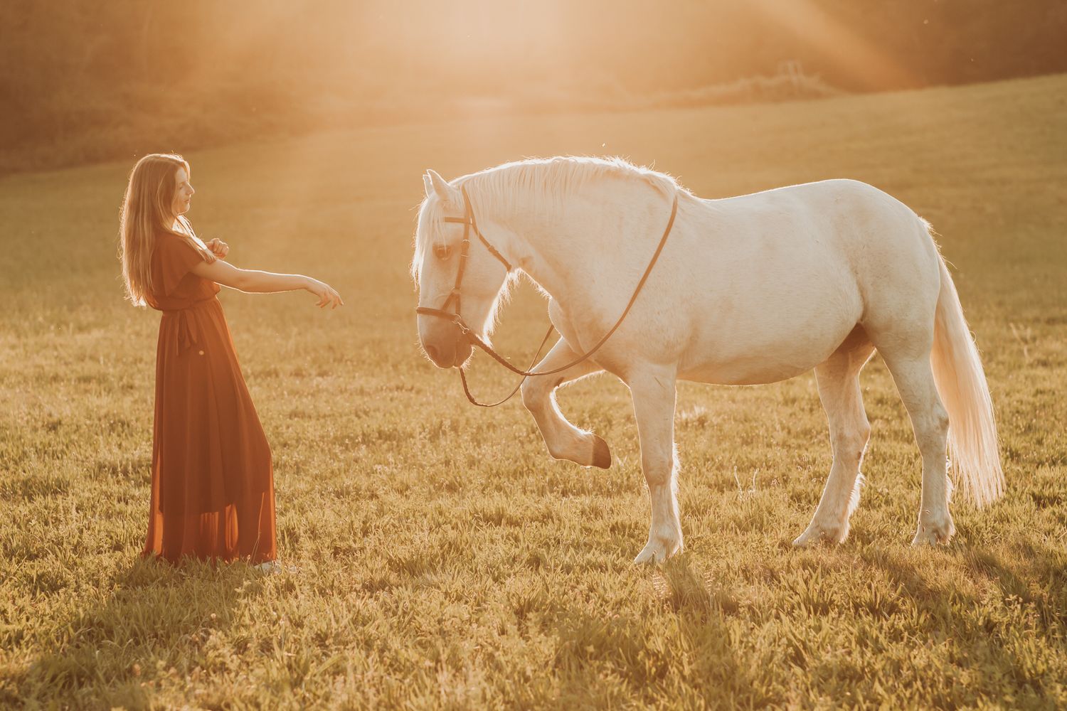 A woman in a red dress reaches out to a white horse in a sunlit field.
