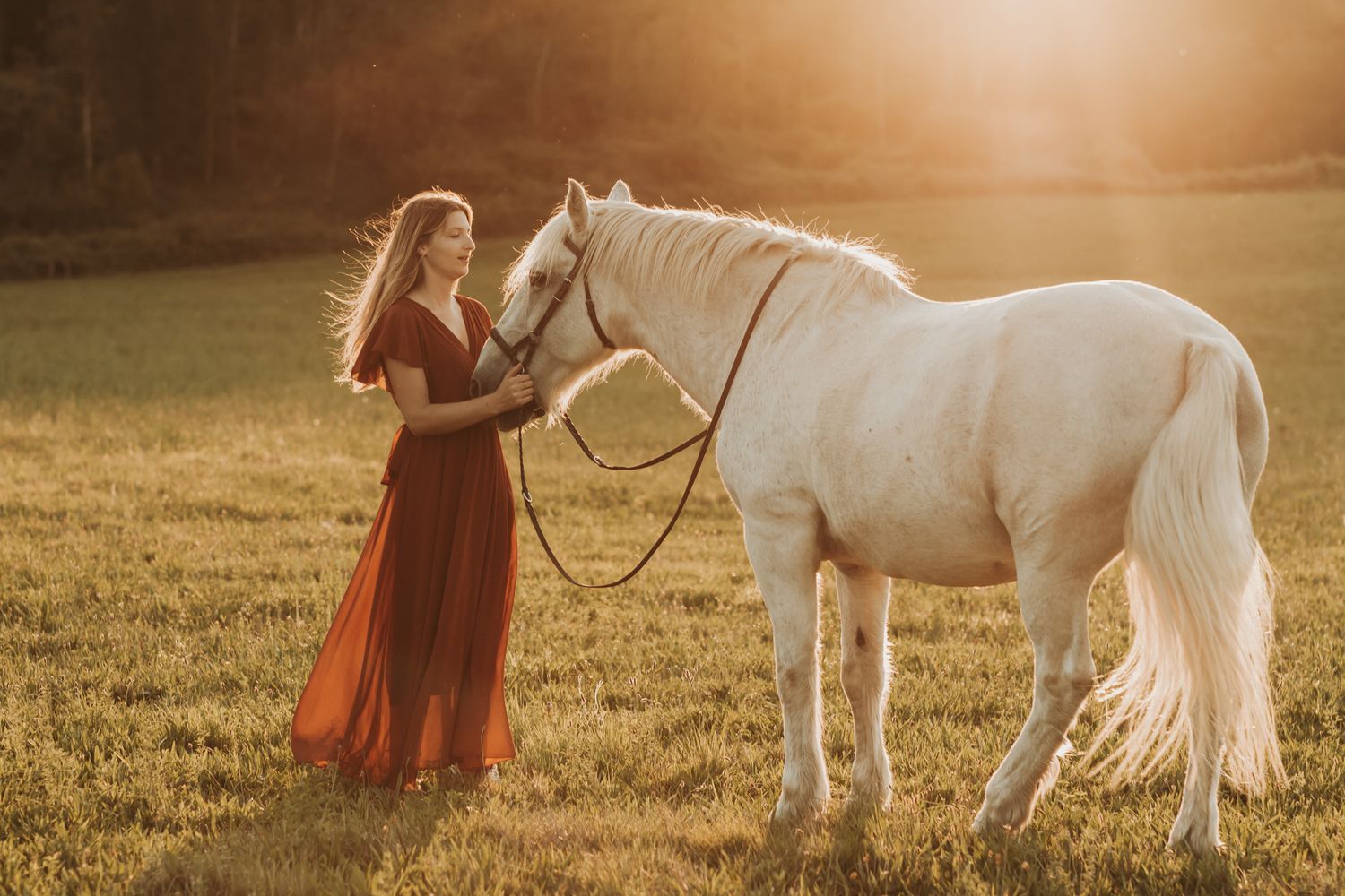 Blonde woman in red dress leading a white horse by the reins in a glowing golden field.