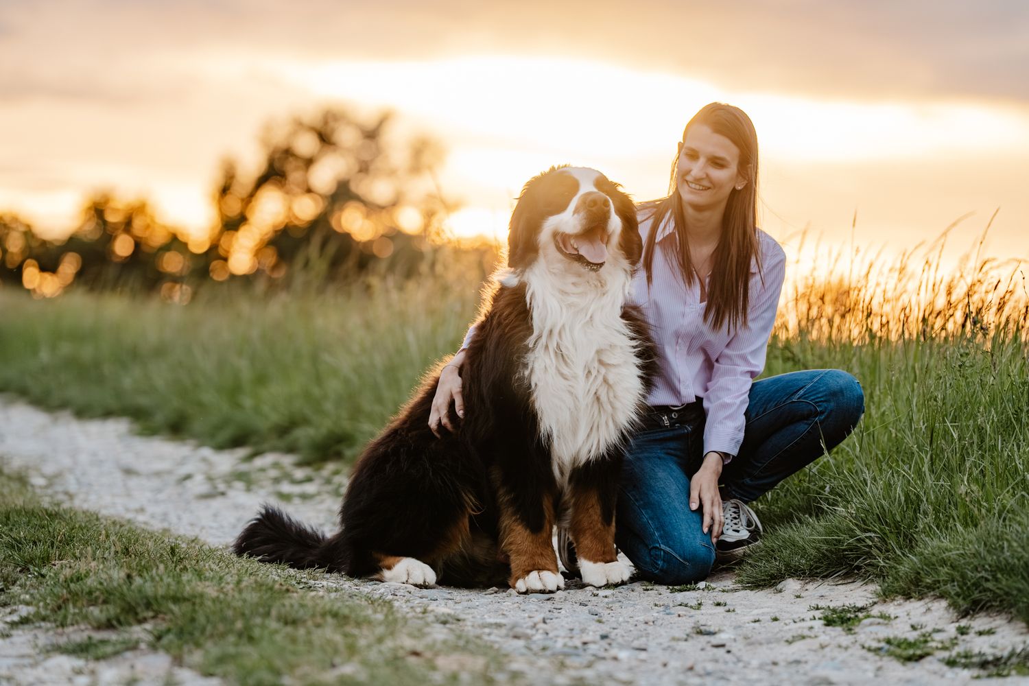 Woman crouching beside her Bernese Mountain Dog on a rural path at golden sunset.
