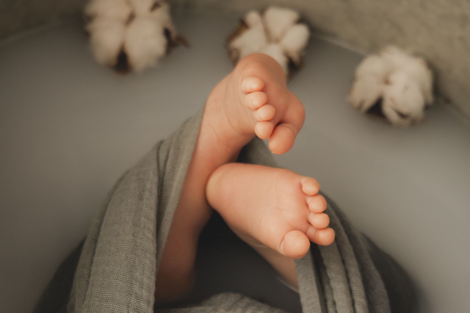 Photo de naissance en Isère : le détail des pieds d'un tout-petit dans un bain de lait décoré de fleurs de coton.