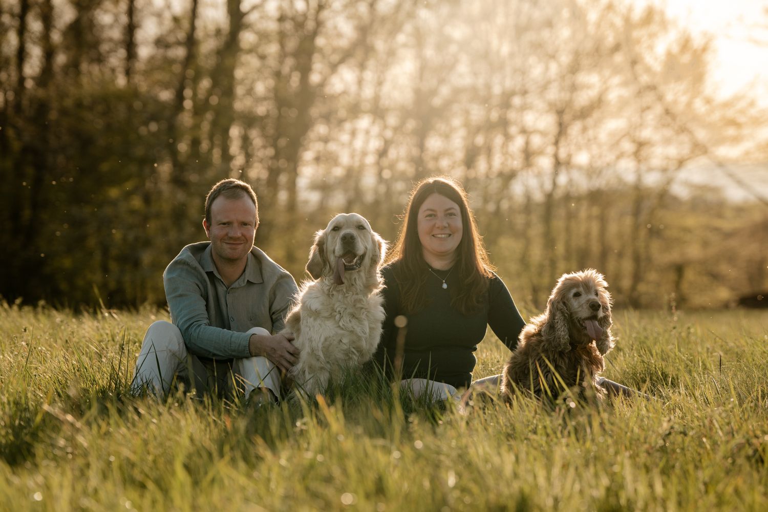 A smiling couple sits in a sunny field with two fluffy dogs beside them near autumn trees.