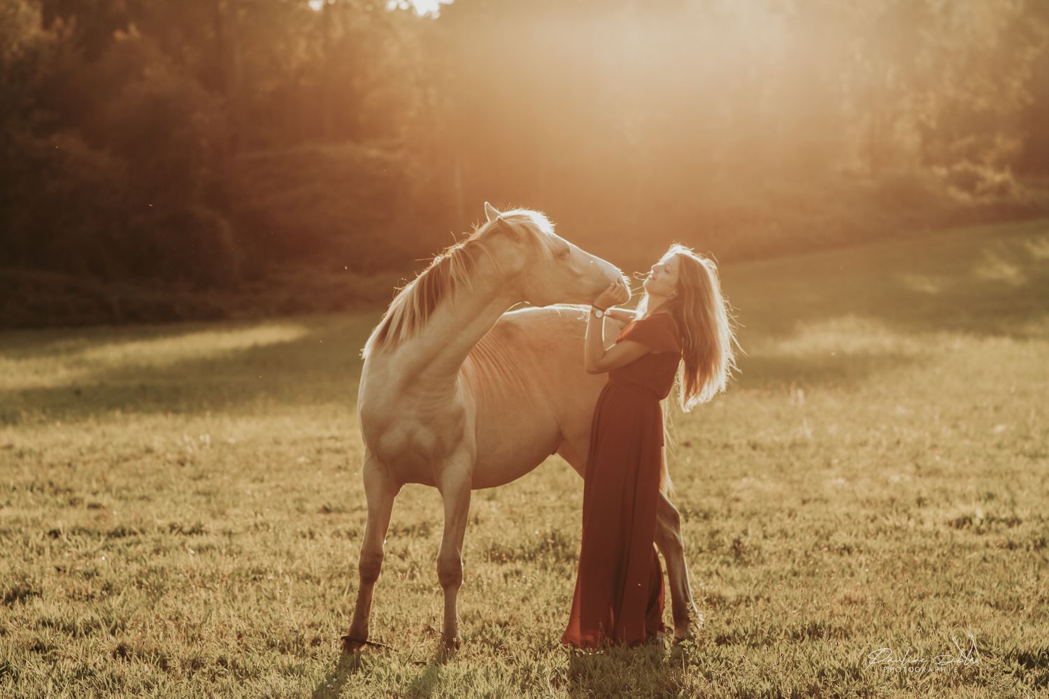 Blonde woman in red dress sharing a tender moment with a white horse in sunlit field.