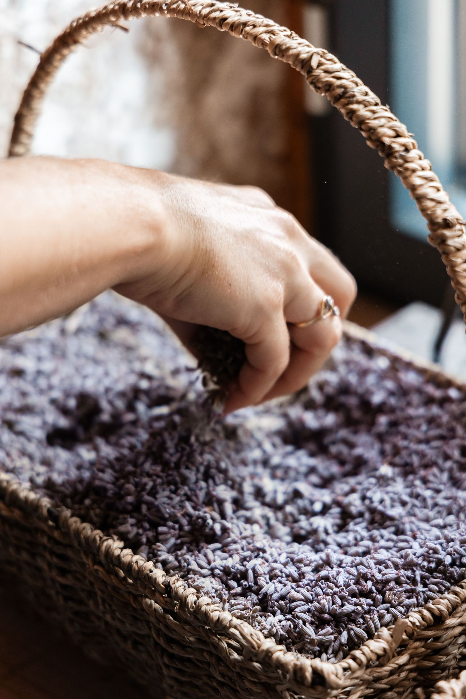 Close-up of a hand holding a wicker basket filled with dried lavender flowers.