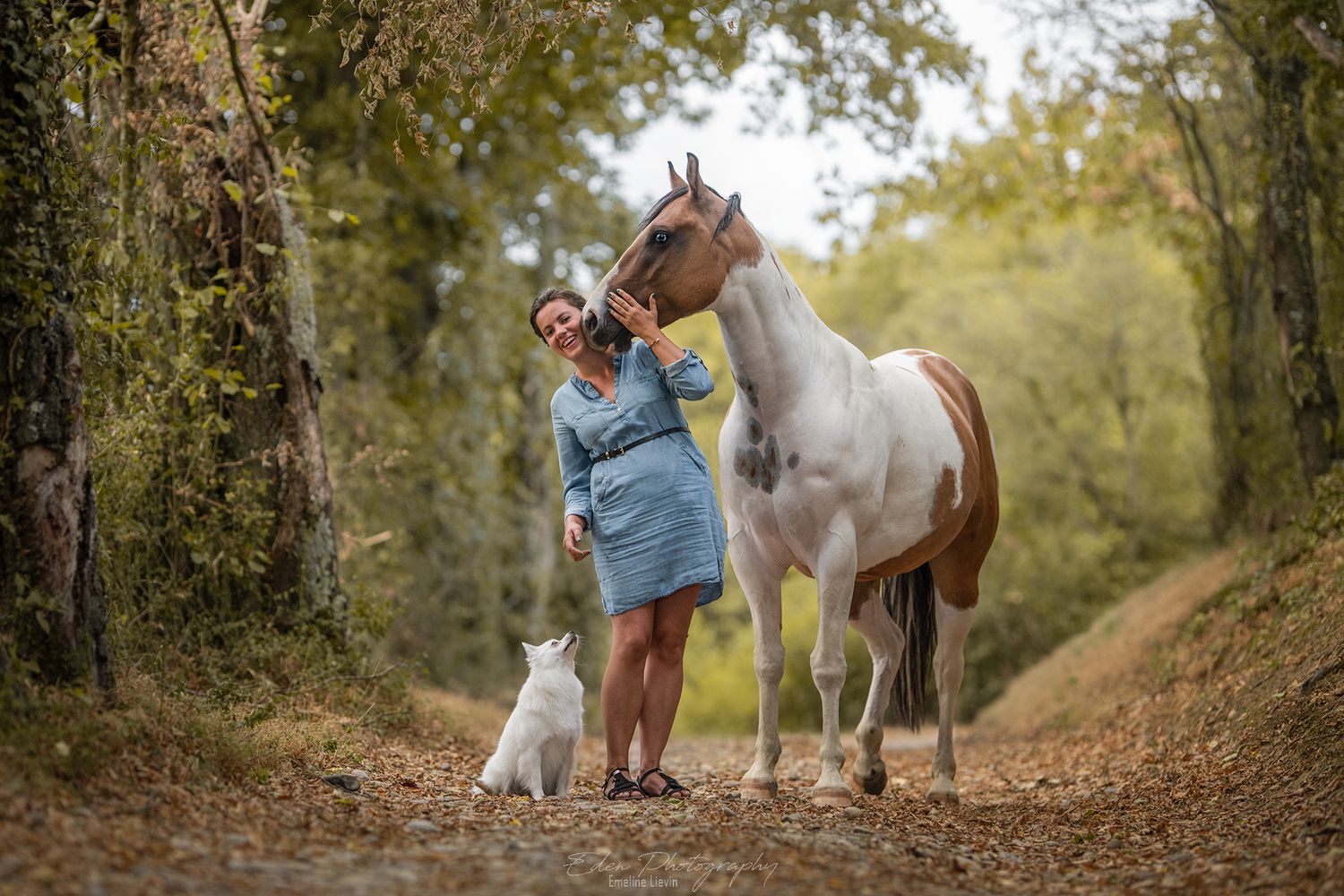 Woman in blue dress with white horse and dog on a forest path in autumn.