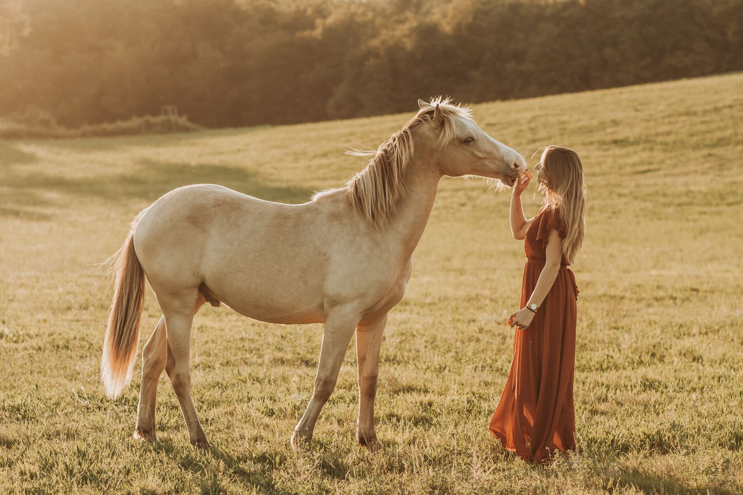 Blonde woman in red dress kissing a white palomino horse in a sun-drenched open meadow.