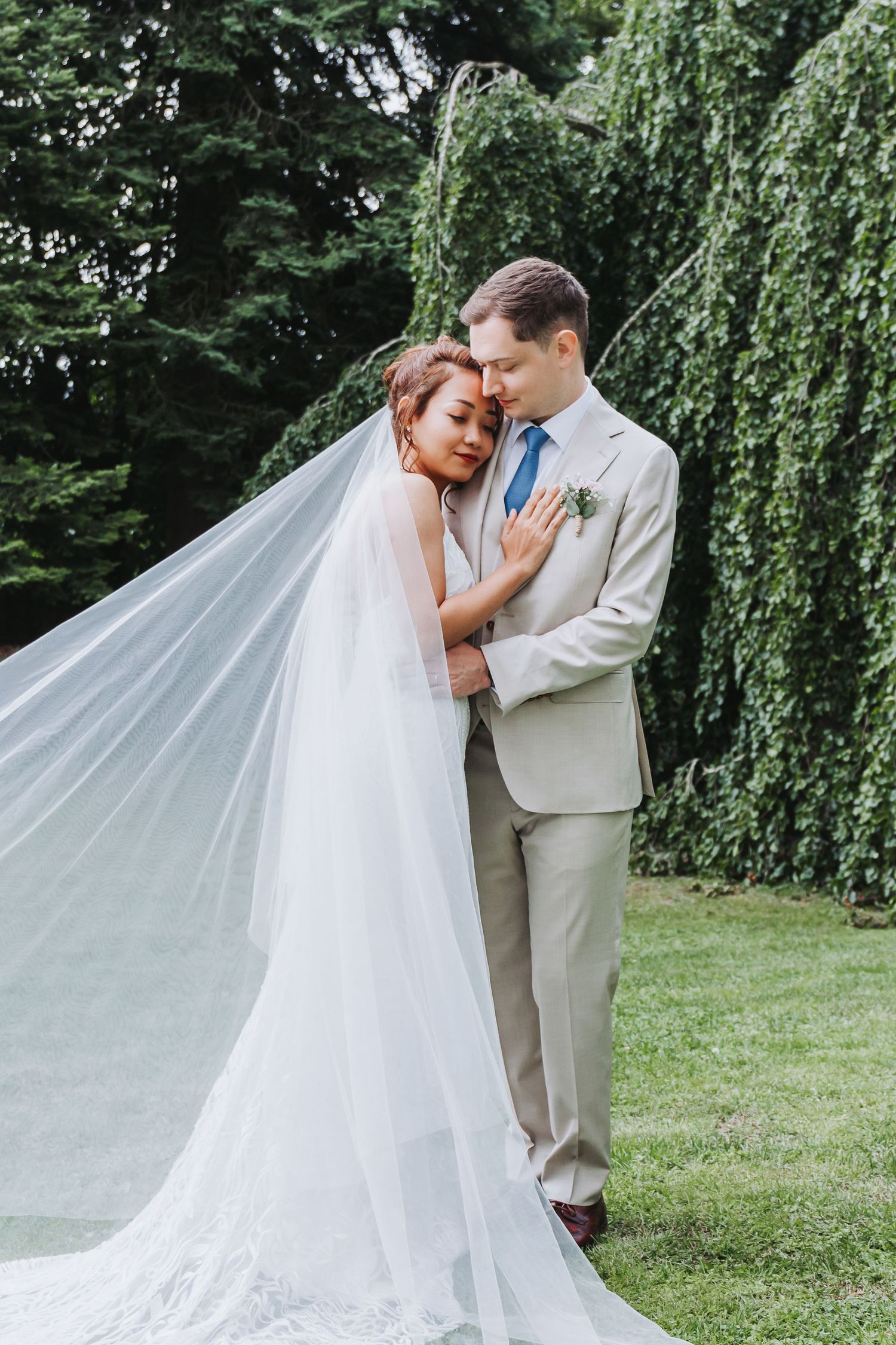 Wedding couple embracing under weeping willow tree, bride's veil flowing, groom in beige suit with blue tie.
