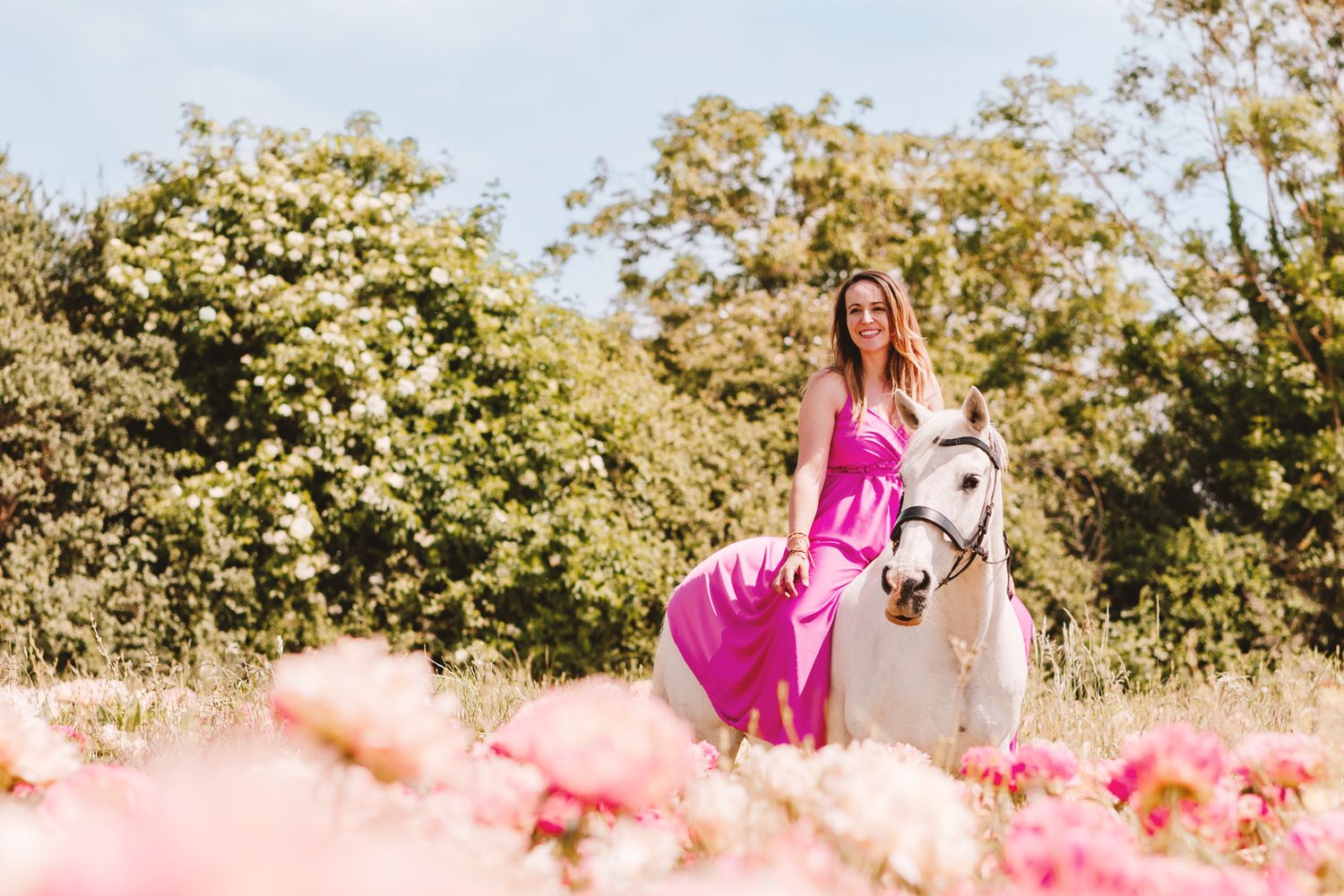 Woman in pink dress sitting on white horse in sunny pink peony field.