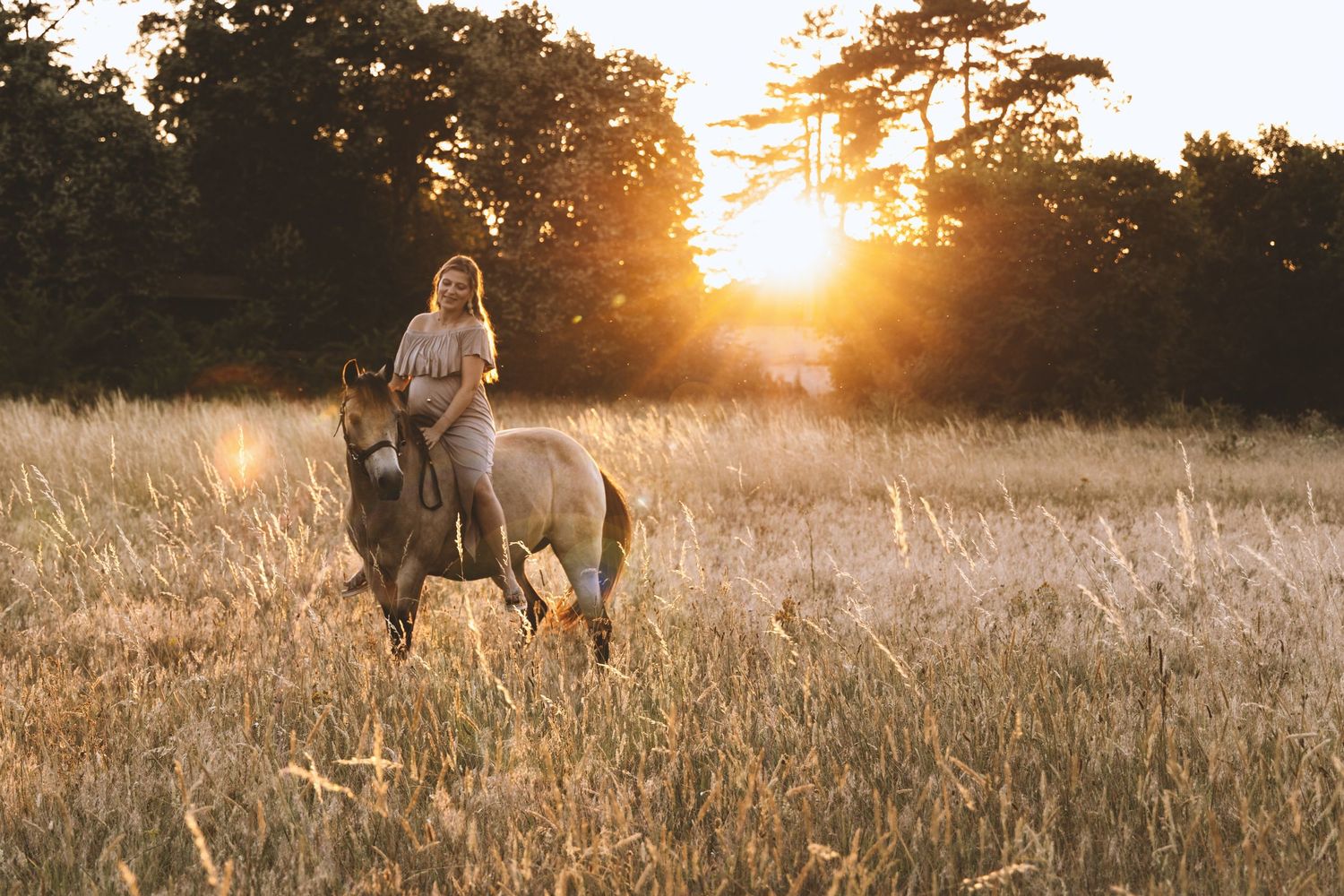 A woman rides a horse through a golden field bathed in warm sunset light with trees behind.