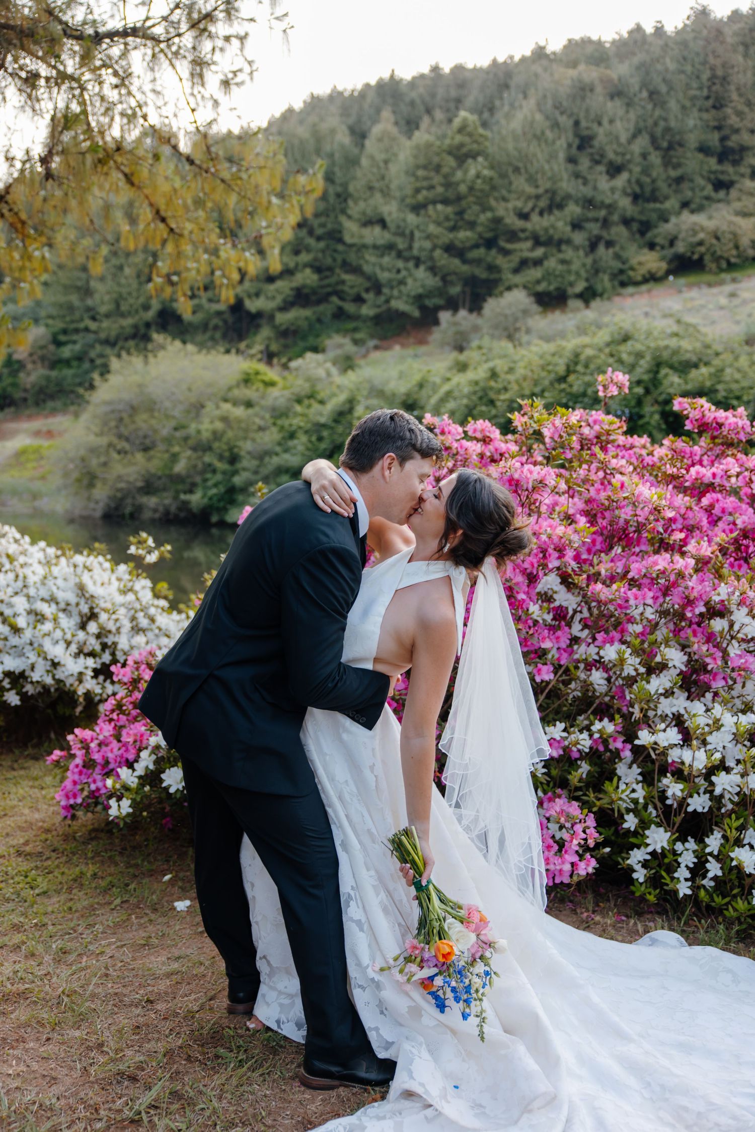 Wedding couple shares romantic dip kiss against backdrop of vibrant pink azalea flowers.