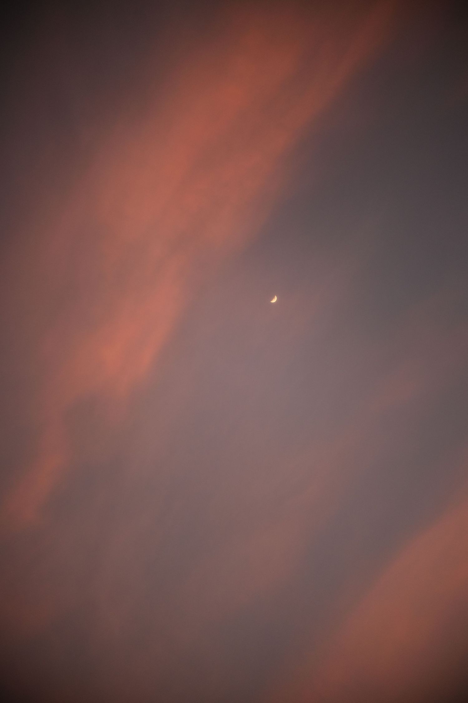 Crescent moon visible through dramatic pink and purple clouds at sunset.