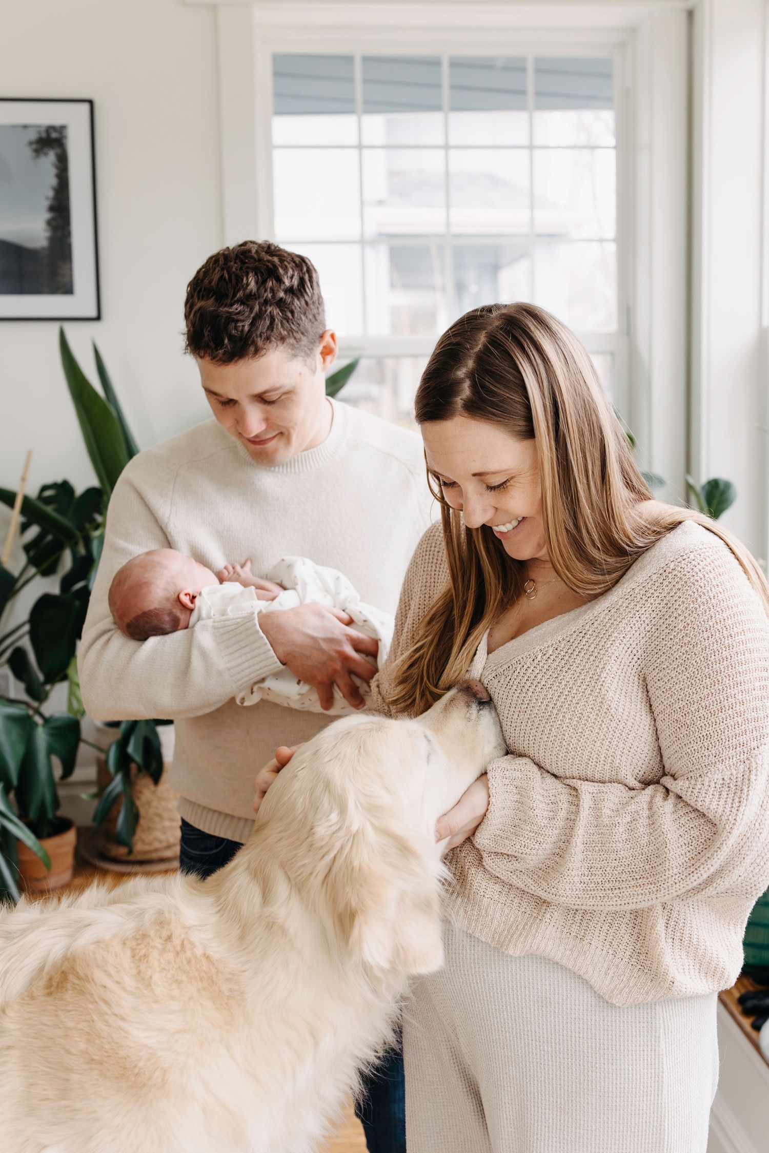 New mom petting cream golden retriever while new dad holds infant