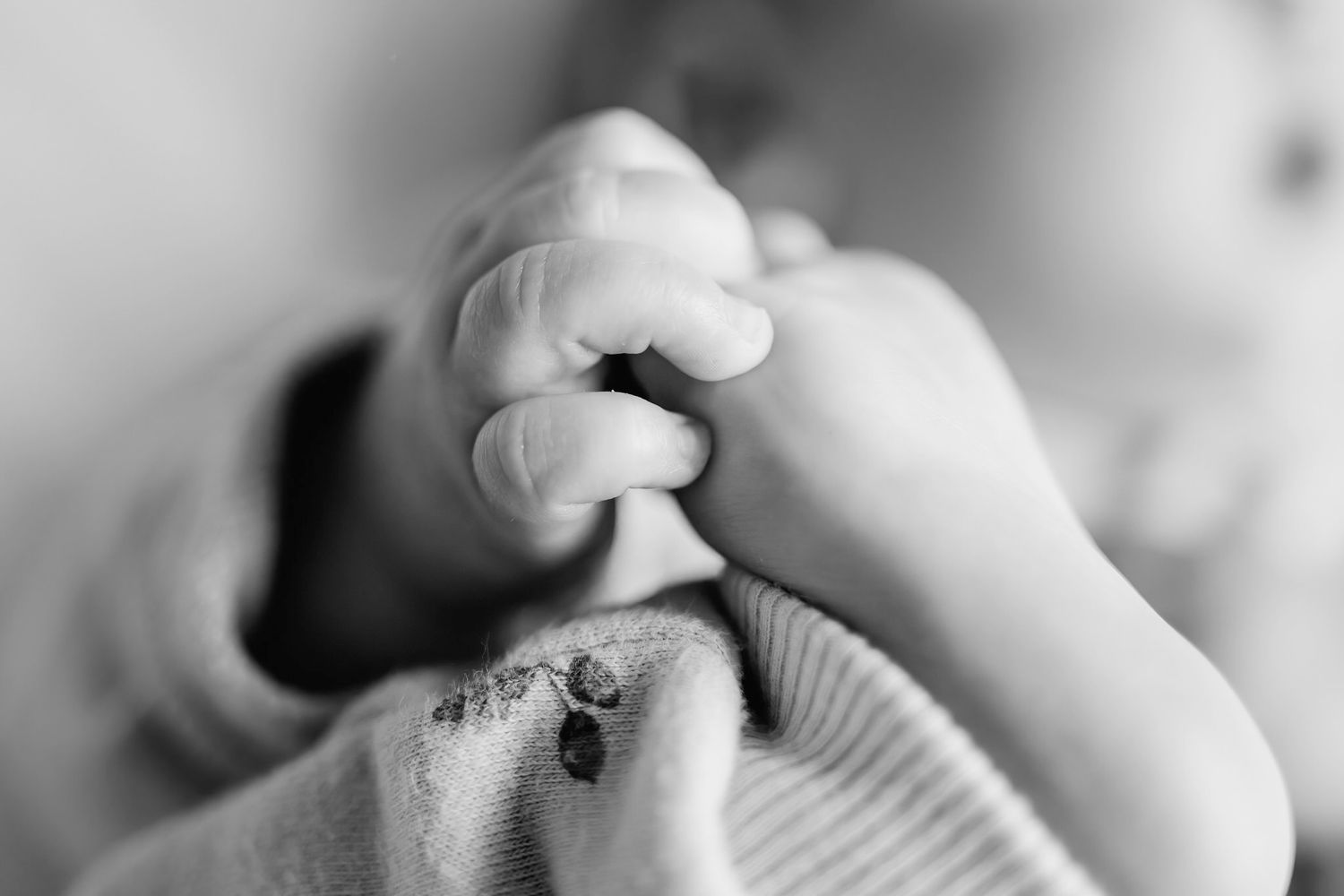 Close-up black and white photograph of hands gently holding a small seashell against a soft blurred background.