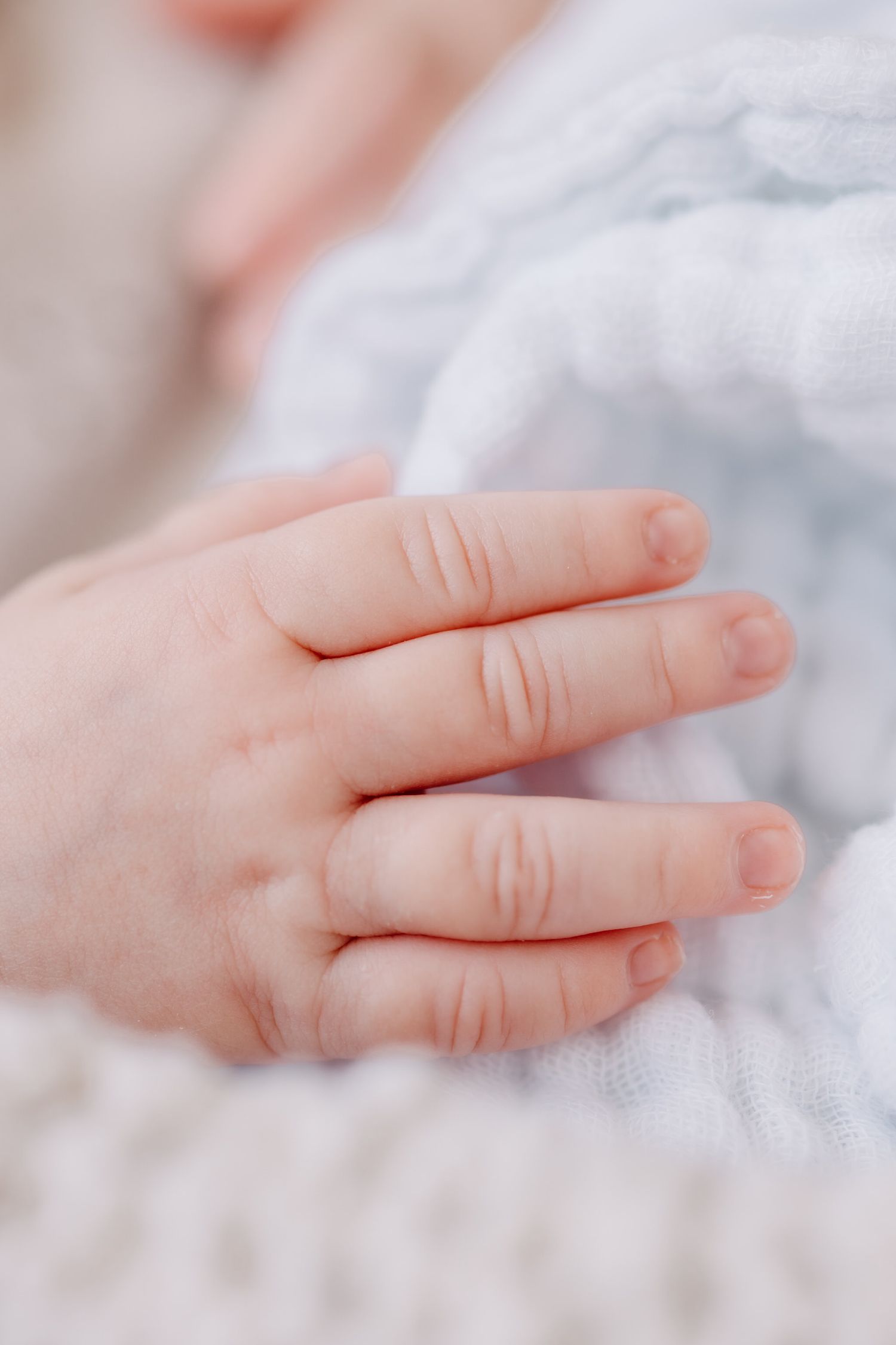 Close-up of a tiny baby's hand resting on soft white fabric showing delicate fingers and smooth infant skin.