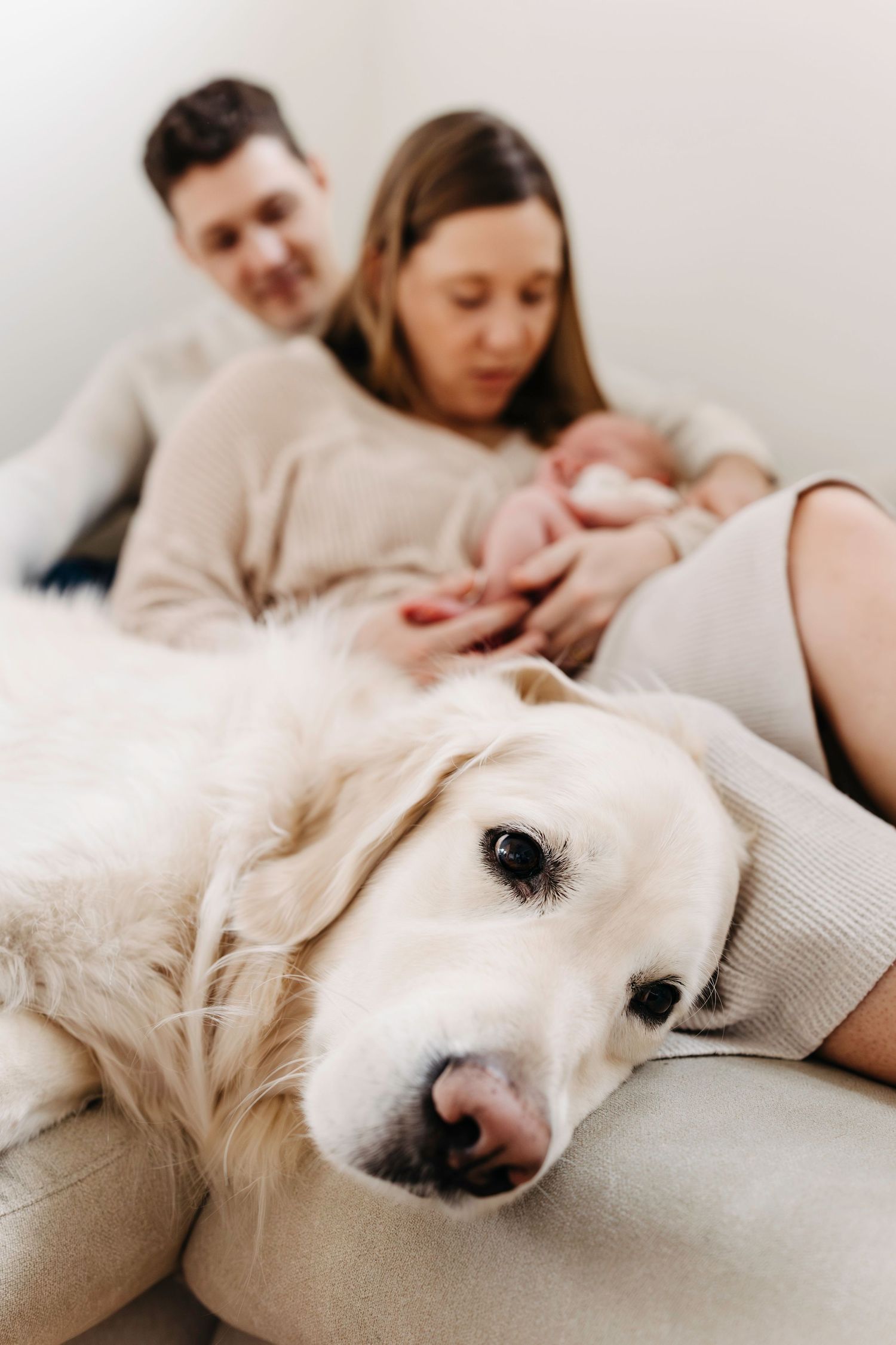 A white dog rests peacefully on a bed while people snuggle together in a cozy morning scene.