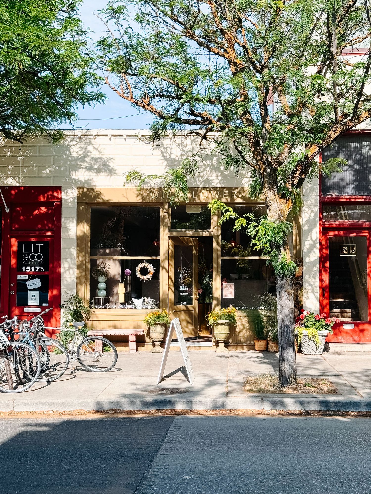 Charming storefront with red doors, bicycles parked outside, and a tree providing shade on a sunny Hyde park street.