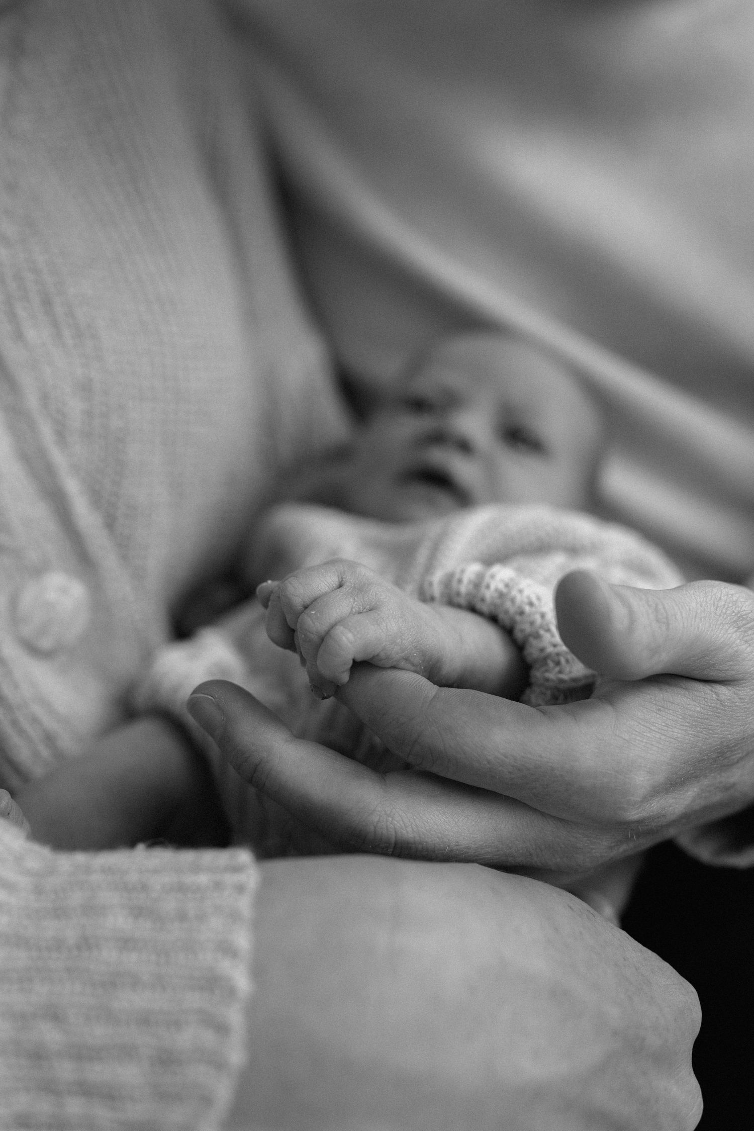 Close-up black and white photo of hands gently holding a tiny seashell against soft fabric.