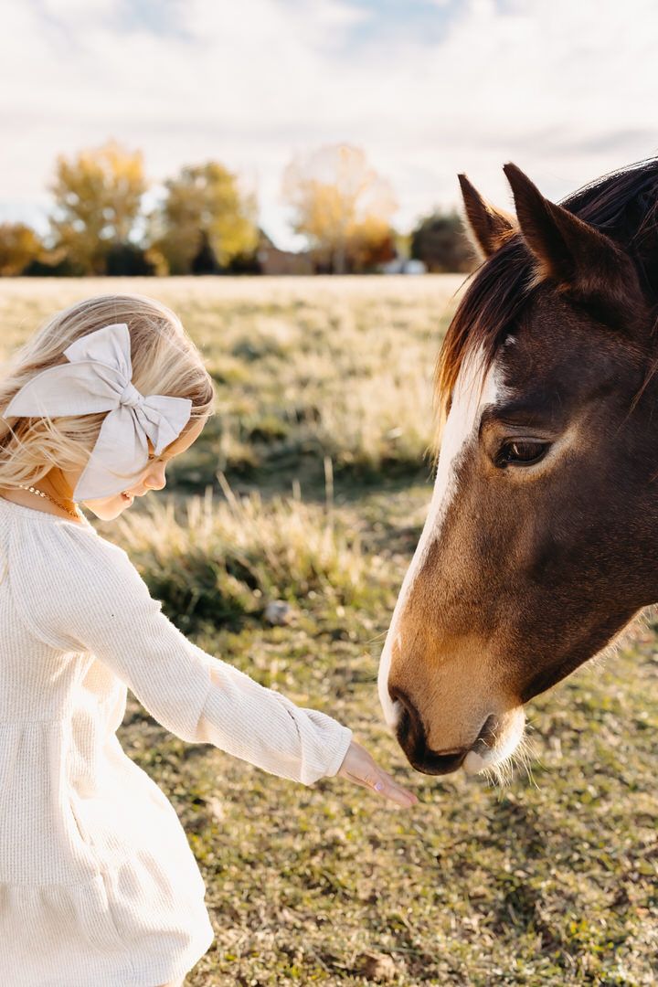 A brown horse's profile is shown with a young girl reaching out to feed horse