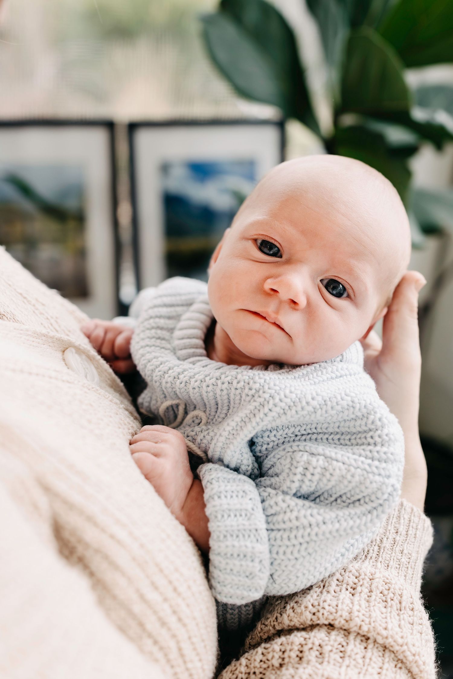 Newborn baby wearing a soft gray knit sweater rests peacefully in a cozy blanket.