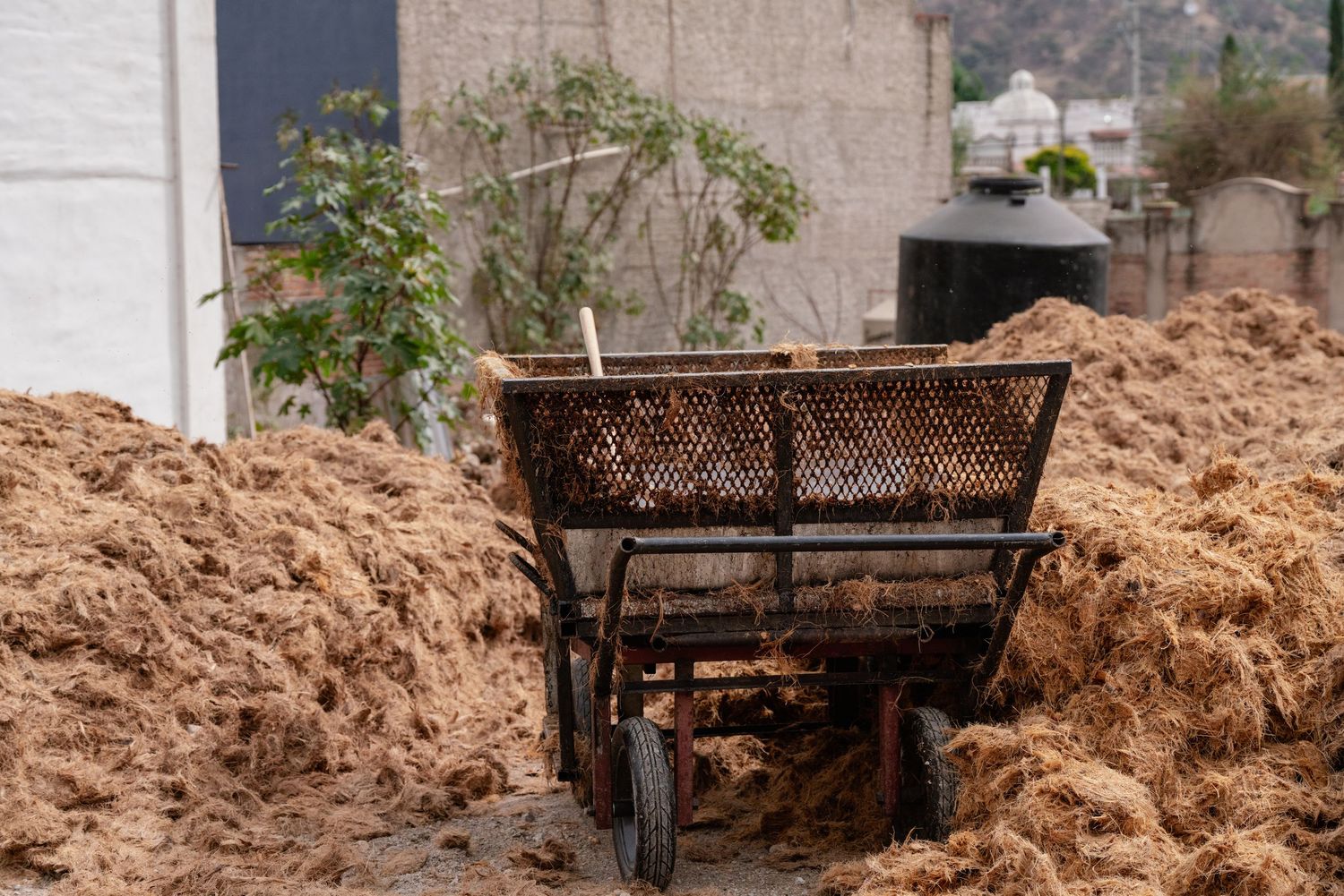 Large piles of wood chips or sawdust in an industrial setting.