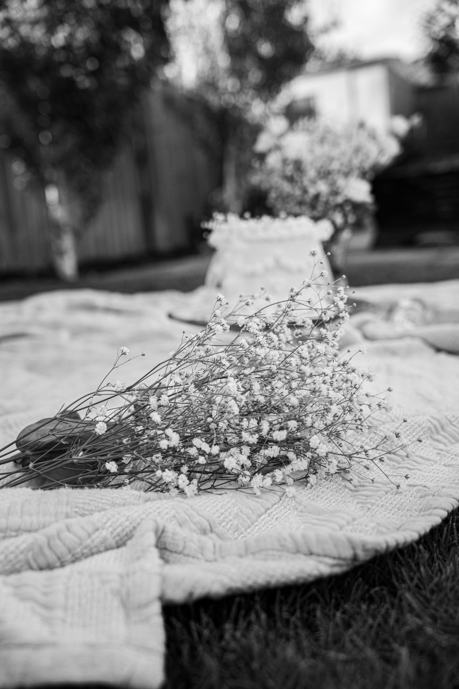 Delicate baby's breath flowers arranged on a textured surface in black and white.