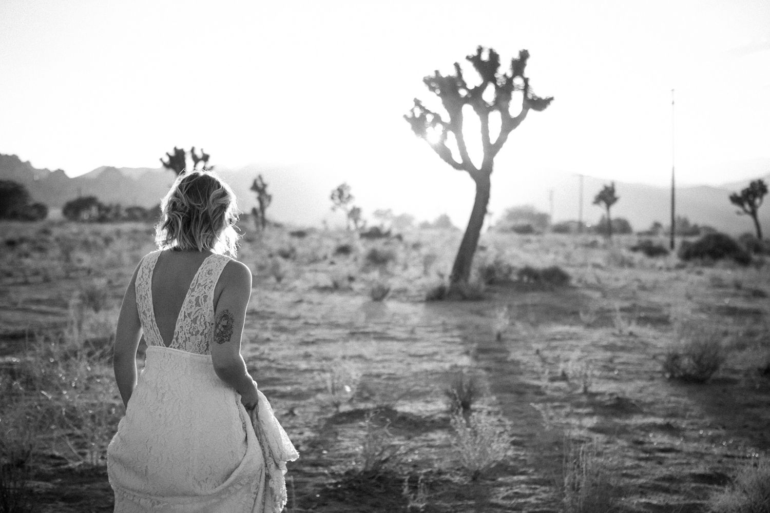 Bride in lace wedding dress standing in desert landscape with Joshua trees at sunset.