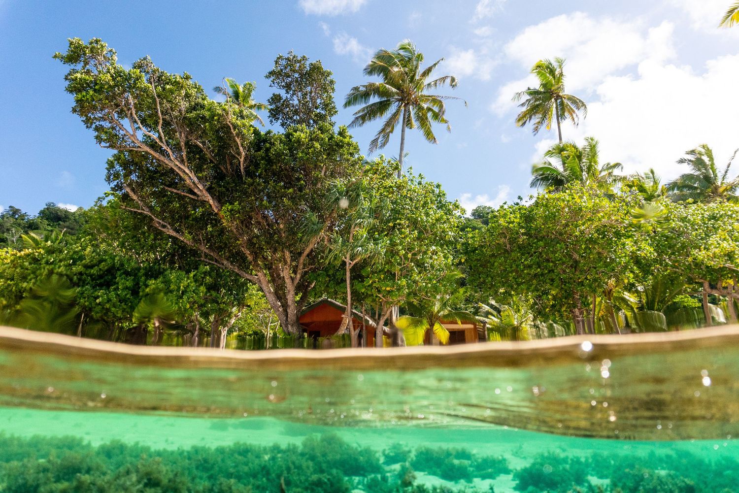 Split underwater view of tropical island with crystal clear turquoise water, coral reef, and lush palm trees under blue sky.