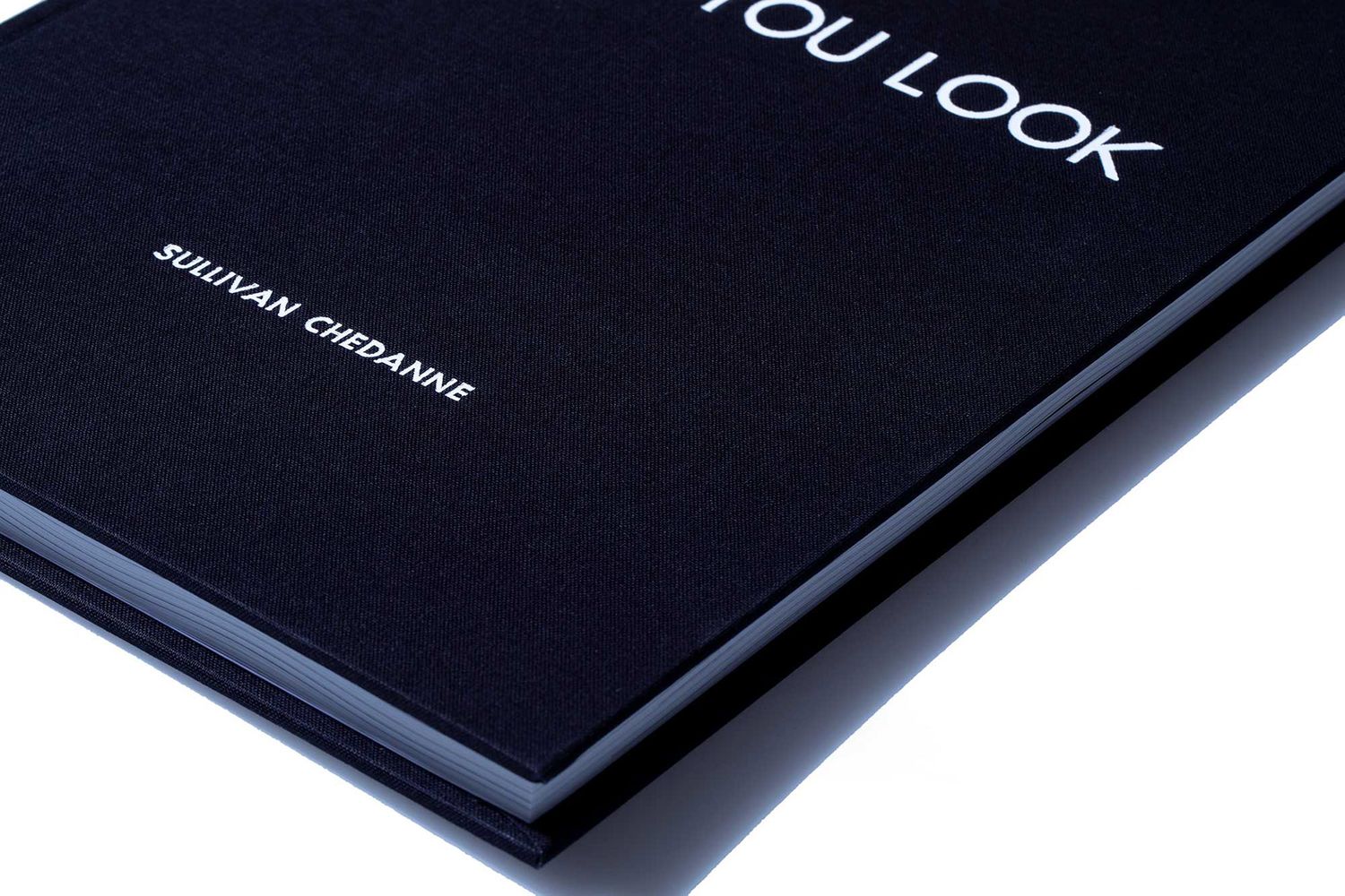Close-up of dark navy hardcover book spine reading YOU LOOK by Sullivan Chedanne.