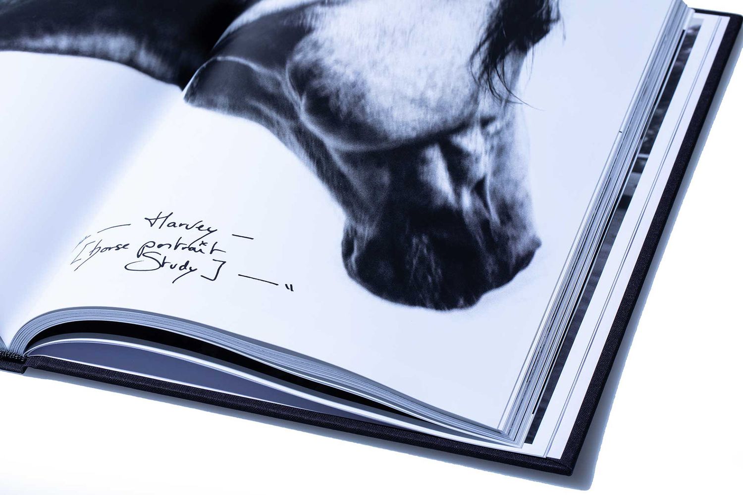 Open book with signed black and white horse portrait photograph and handwritten dedication.