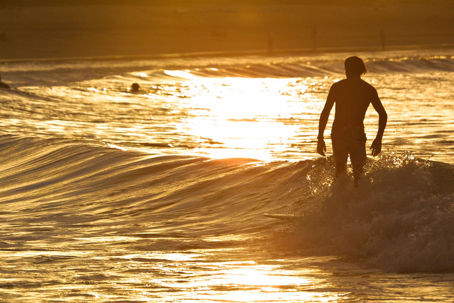 Silhouette of a surfer standing in golden ocean waves during a stunning sunset.
