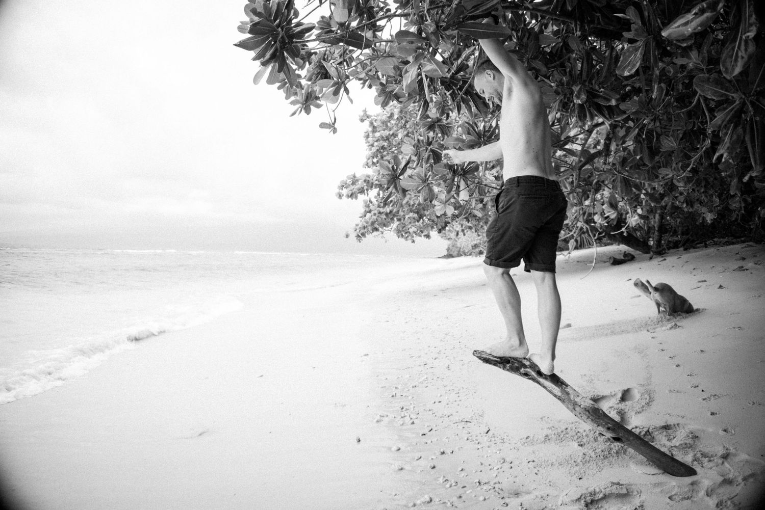 Black and white photo of a man balacning on driftwood on a tropical beach.