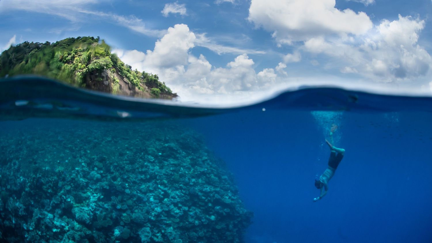 Split underwater photo showing a diver exploring a coral reef near a tropical island.