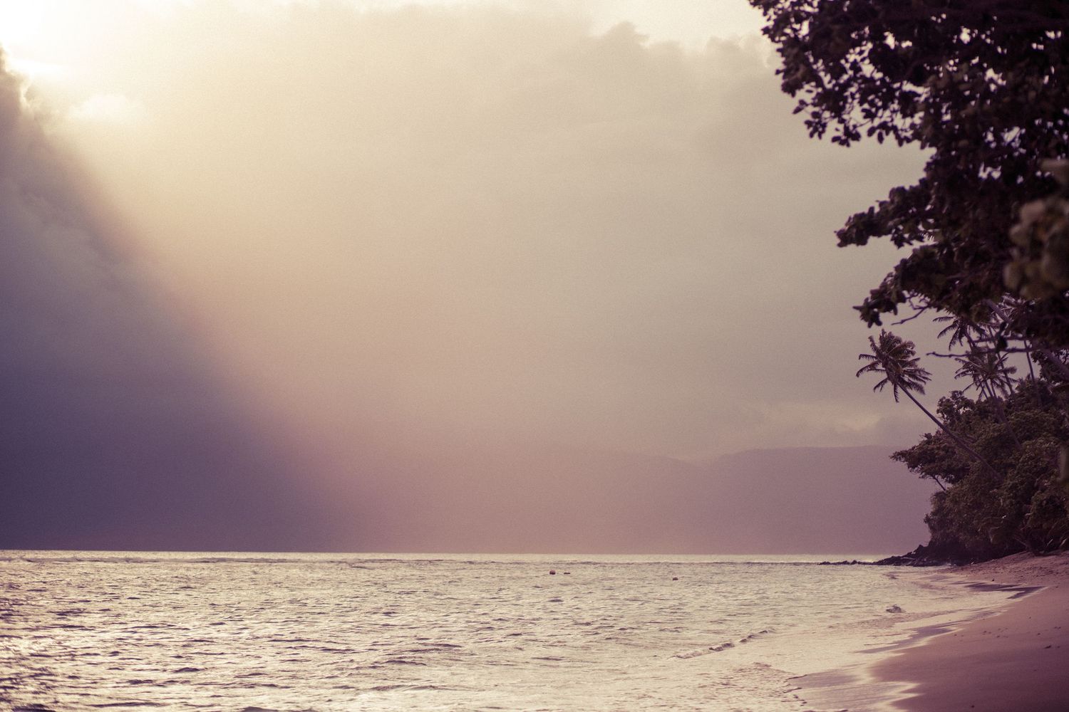 Dramatic sunset rays breaking through storm clouds over a tropical beach with palm trees and calm ocean waters.