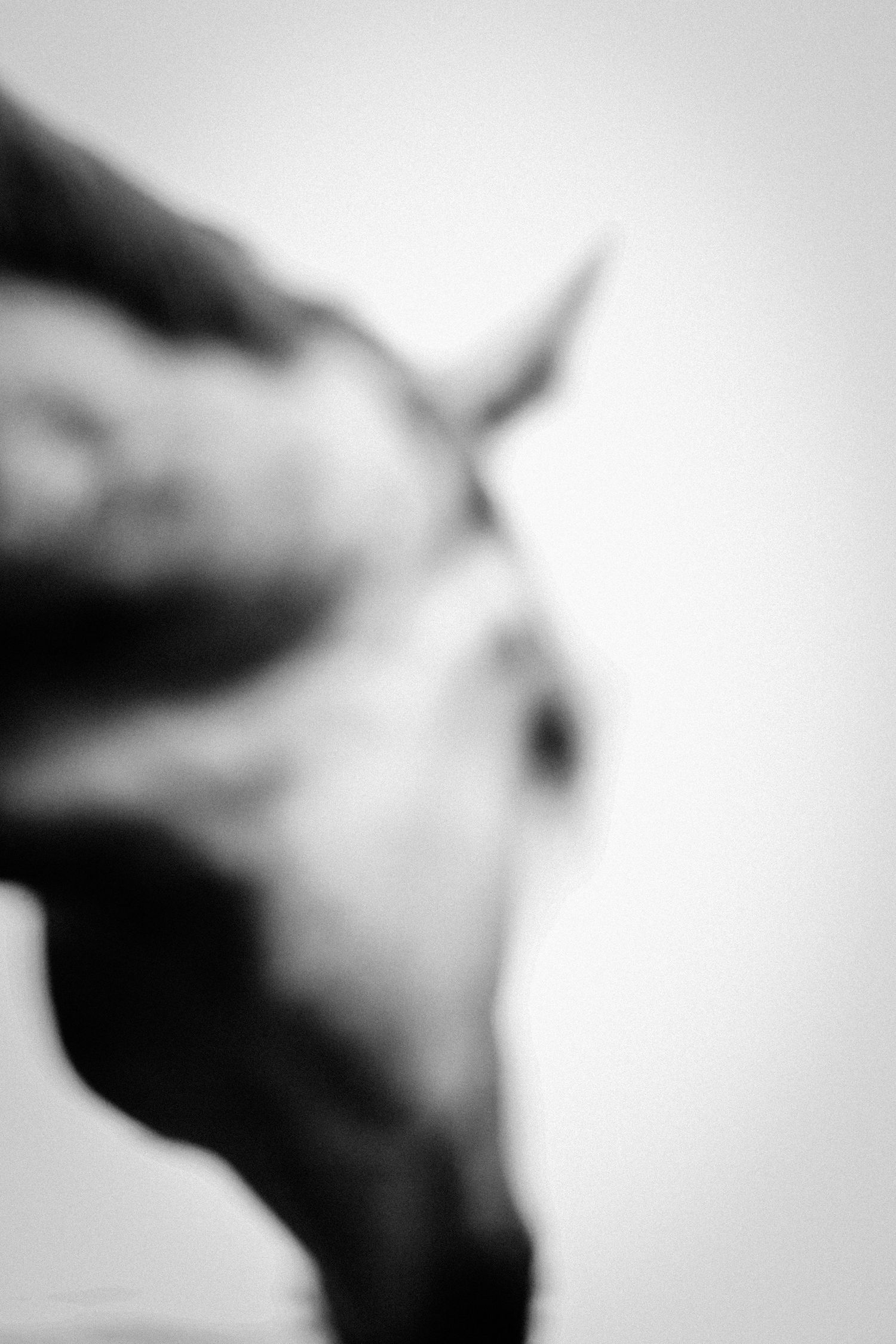 Blurred black and white artistic close-up portrait of a horse profile.