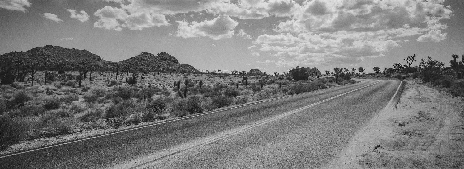 Black and white panoramic view of a desert highway stretching through Joshua Tree landscape.